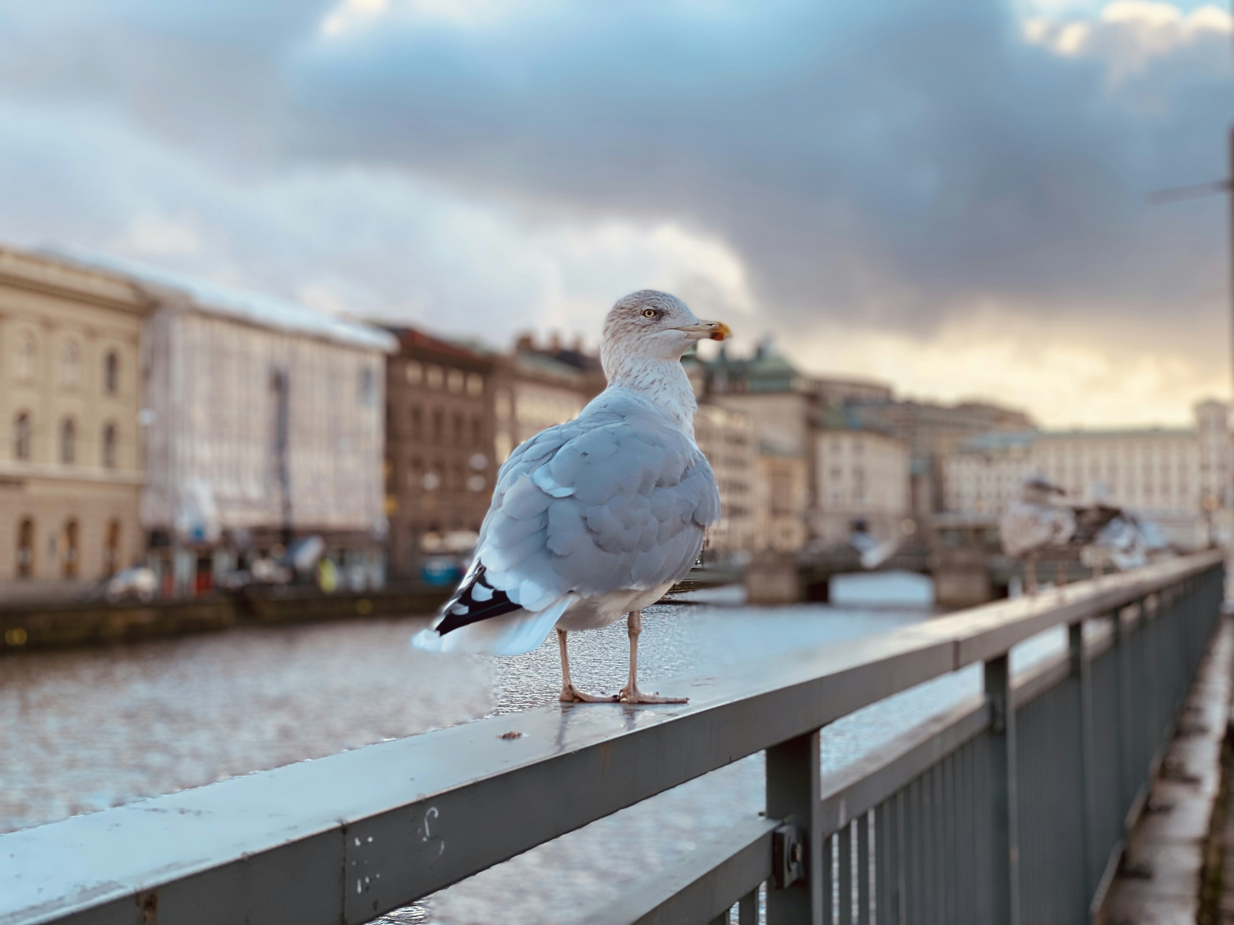 Photo by penkhoonklang