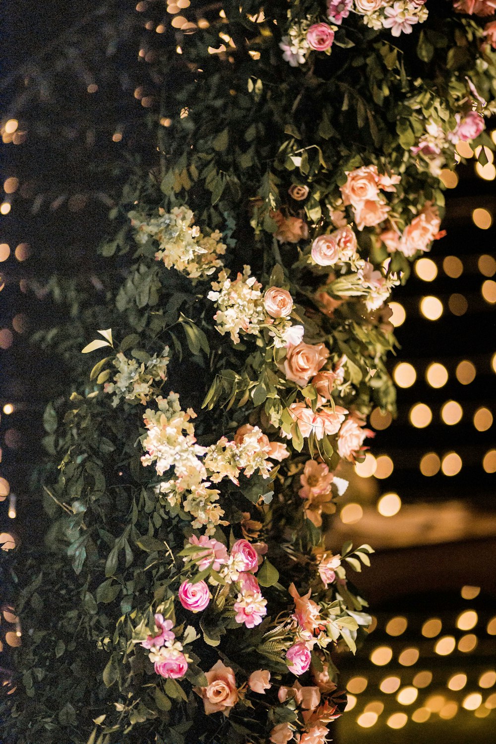 white and pink flowers with green leaves