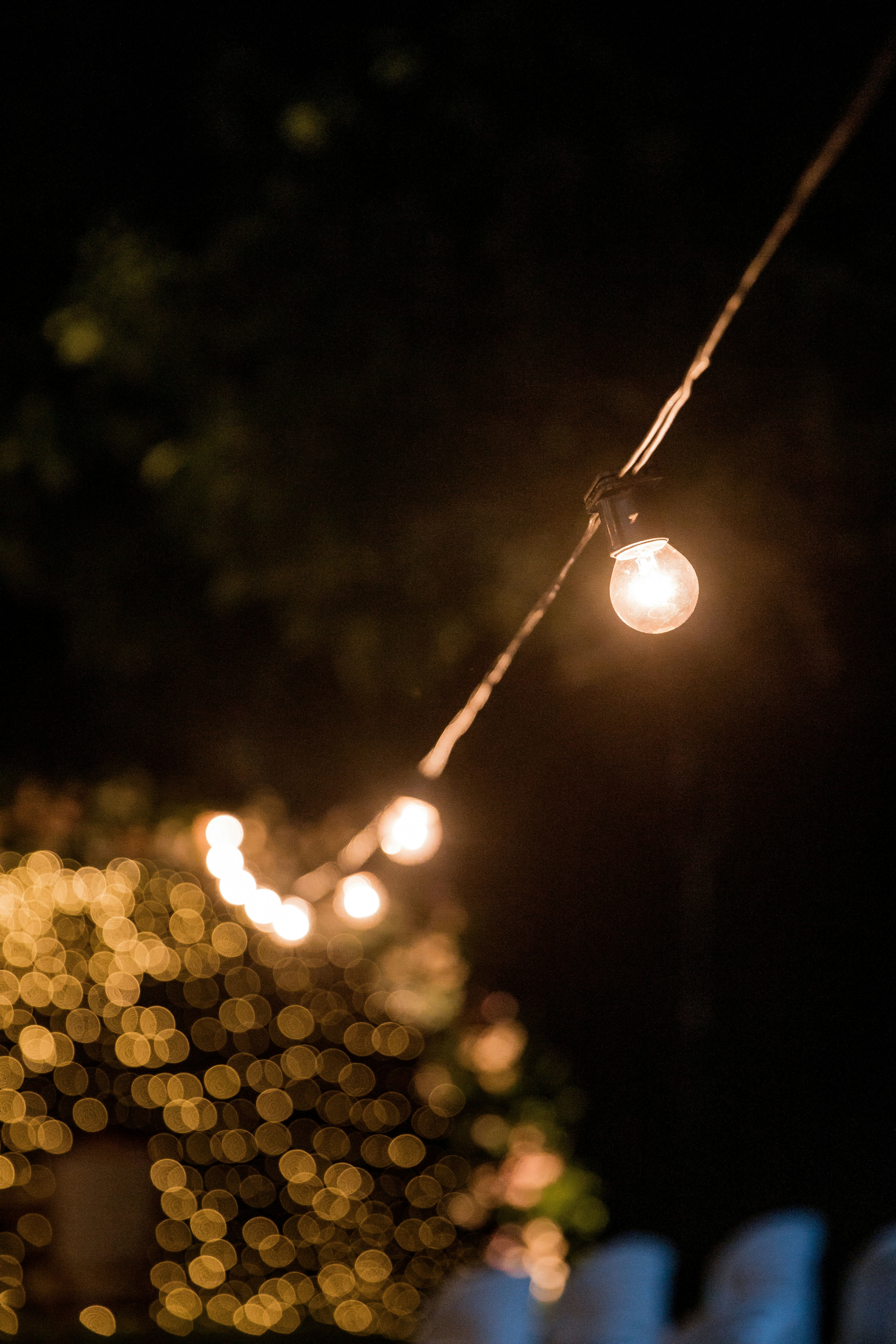 Photo by juniorreisfoto