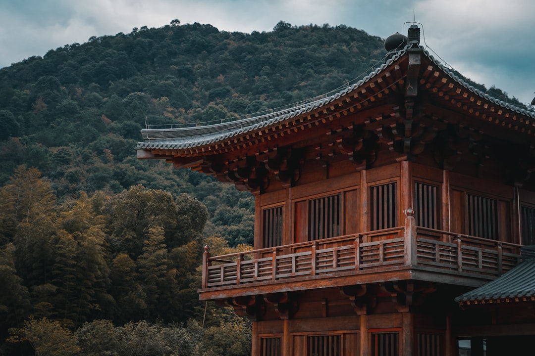 brown wooden temple on mountain