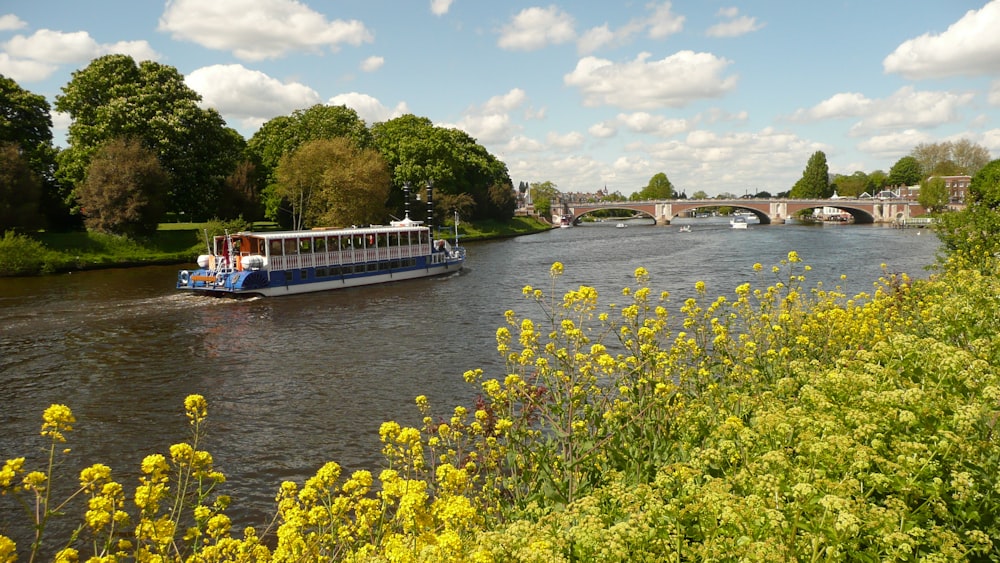 yellow flower field beside body of water during daytime