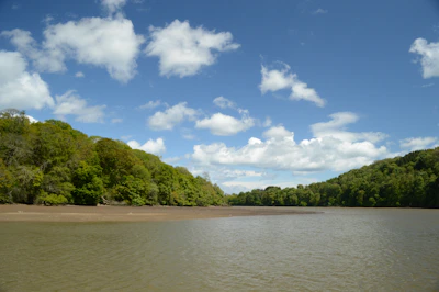 A serene river winding through the untouched wilderness under a clear blue sky.