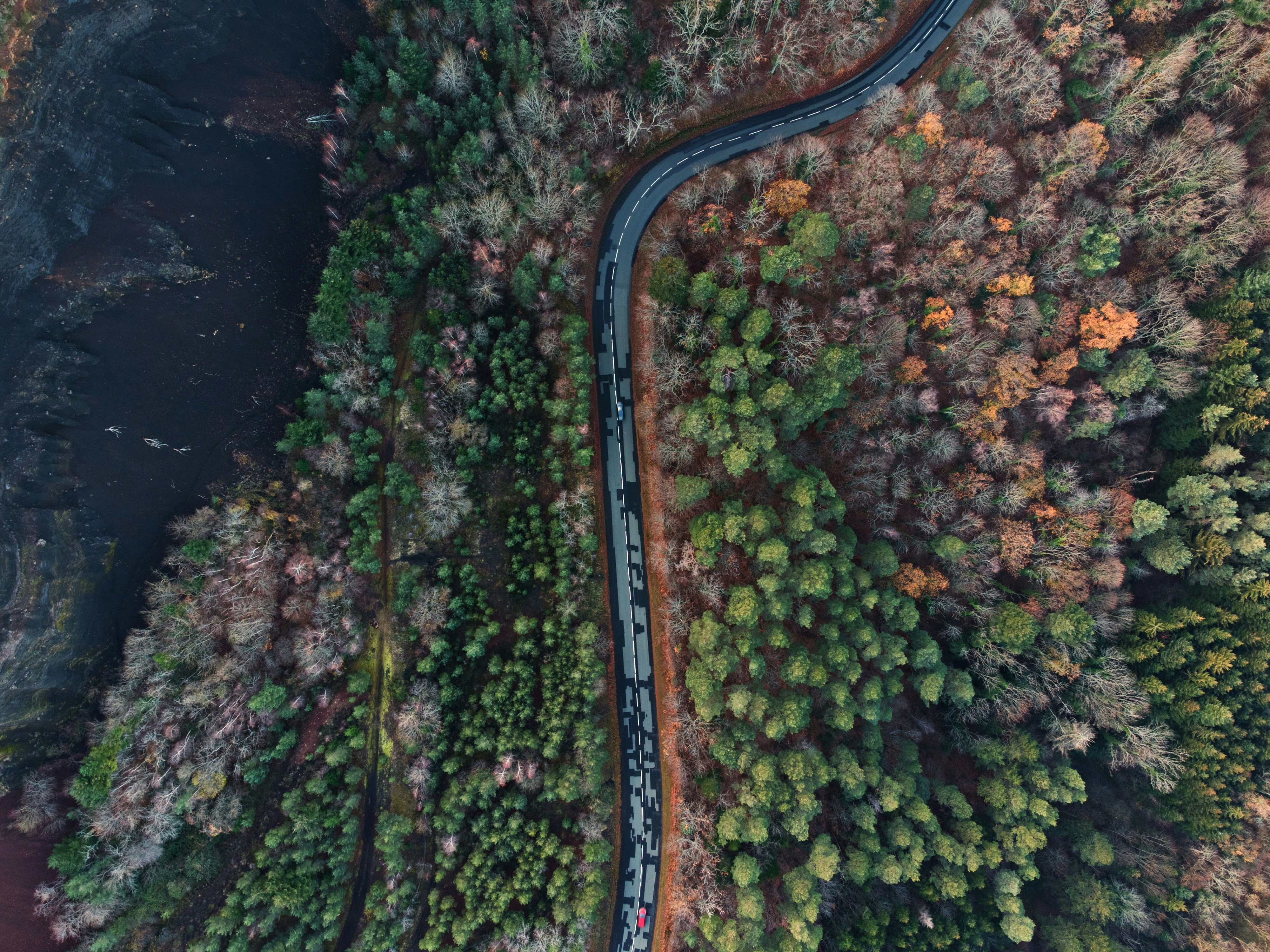 Photo by bruncolombo