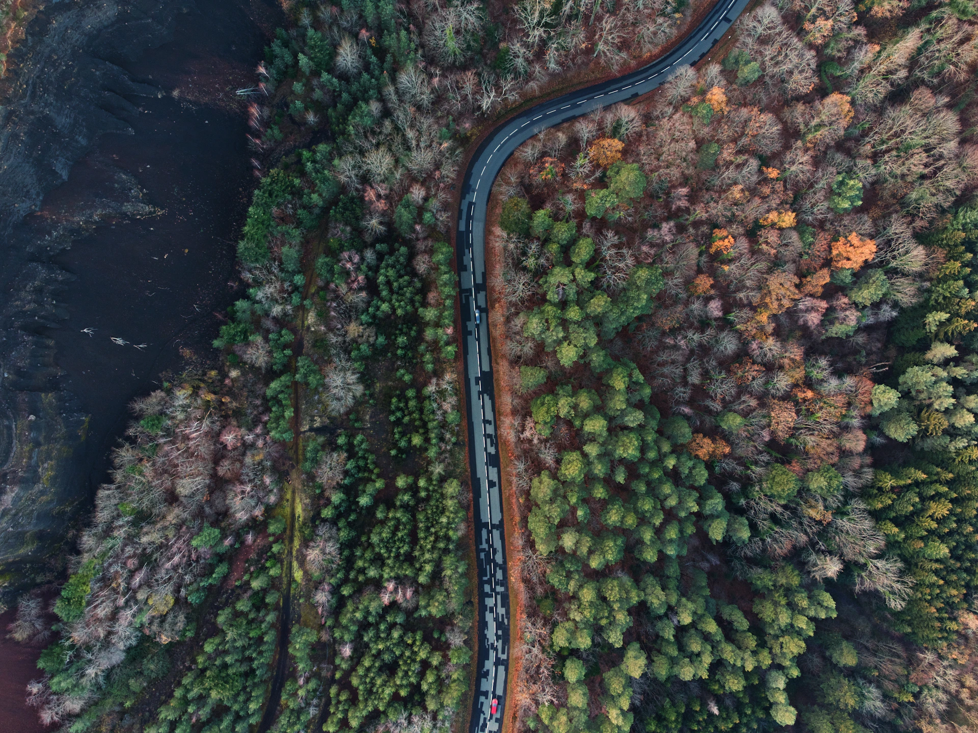 aerial view of road in the middle of green trees