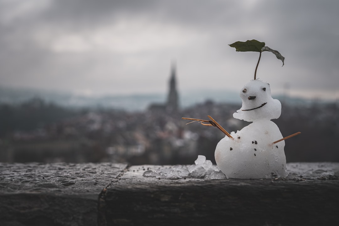 white snowman with green leaf on top