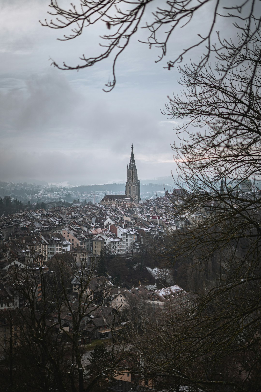 bare tree near city buildings under cloudy sky during daytime