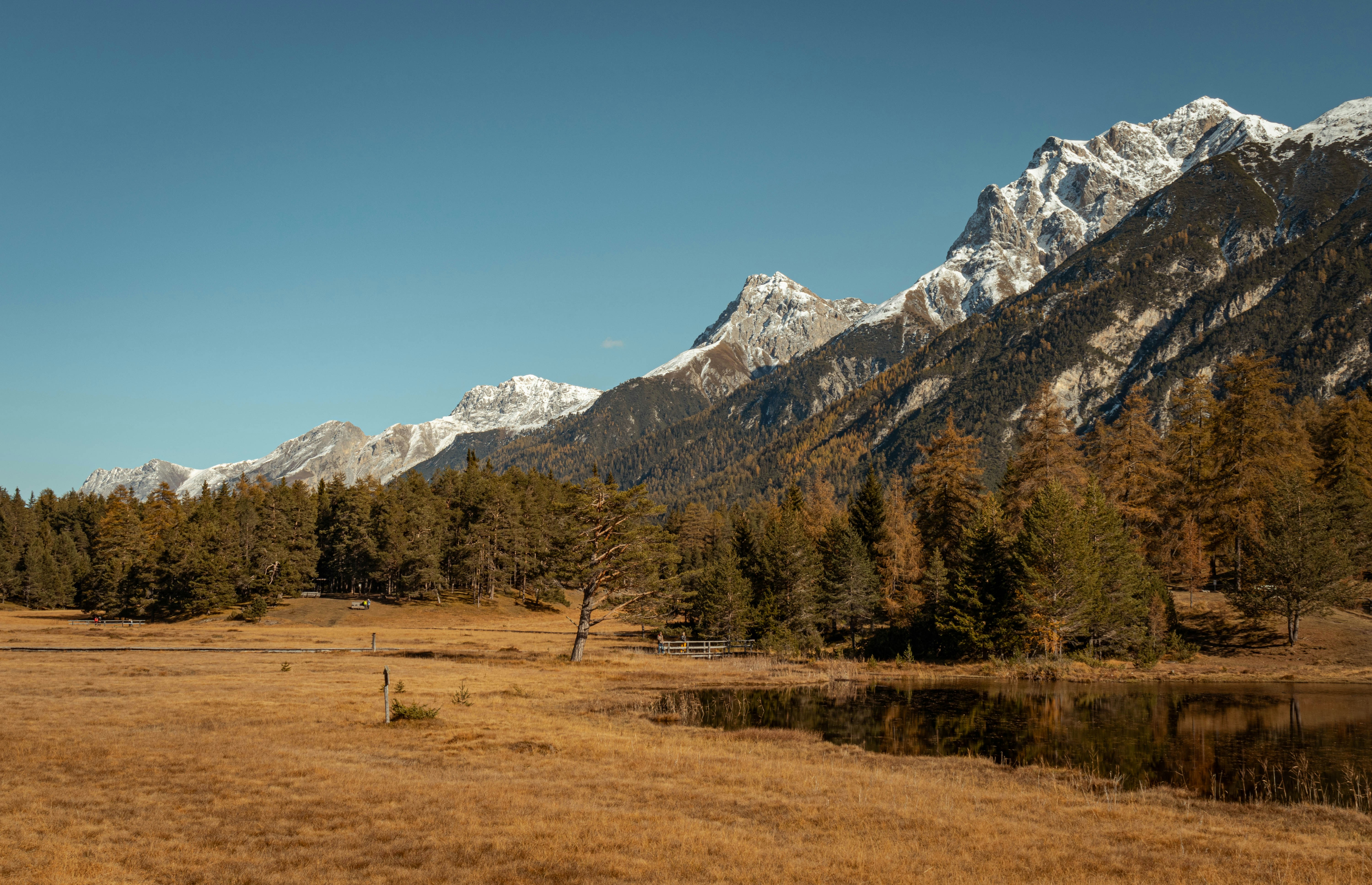 Photo by perspectivenature