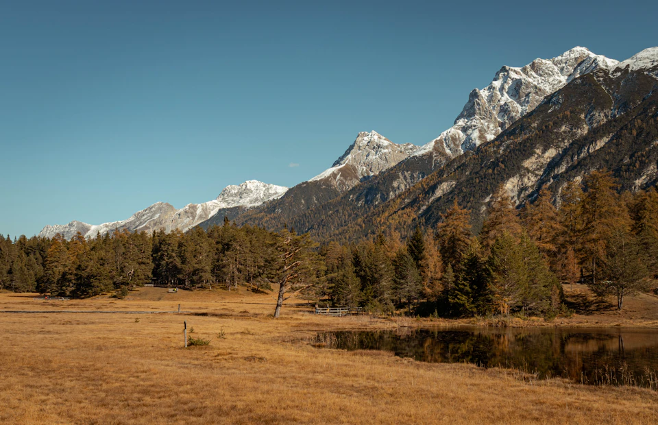 The image depicts a serene mountain landscape with snow-capped peaks and a clear blue sky. The mountains, covered in snow, rise majestically against the backdrop of the sky. In the foreground, there is a field of tall grass that sways gently underfoot. A small pond can be seen nestled amidst this grassy expanse, reflecting the surrounding scenery. The image is taken from a low angle, emphasizing the grandeur and height of the mountains.