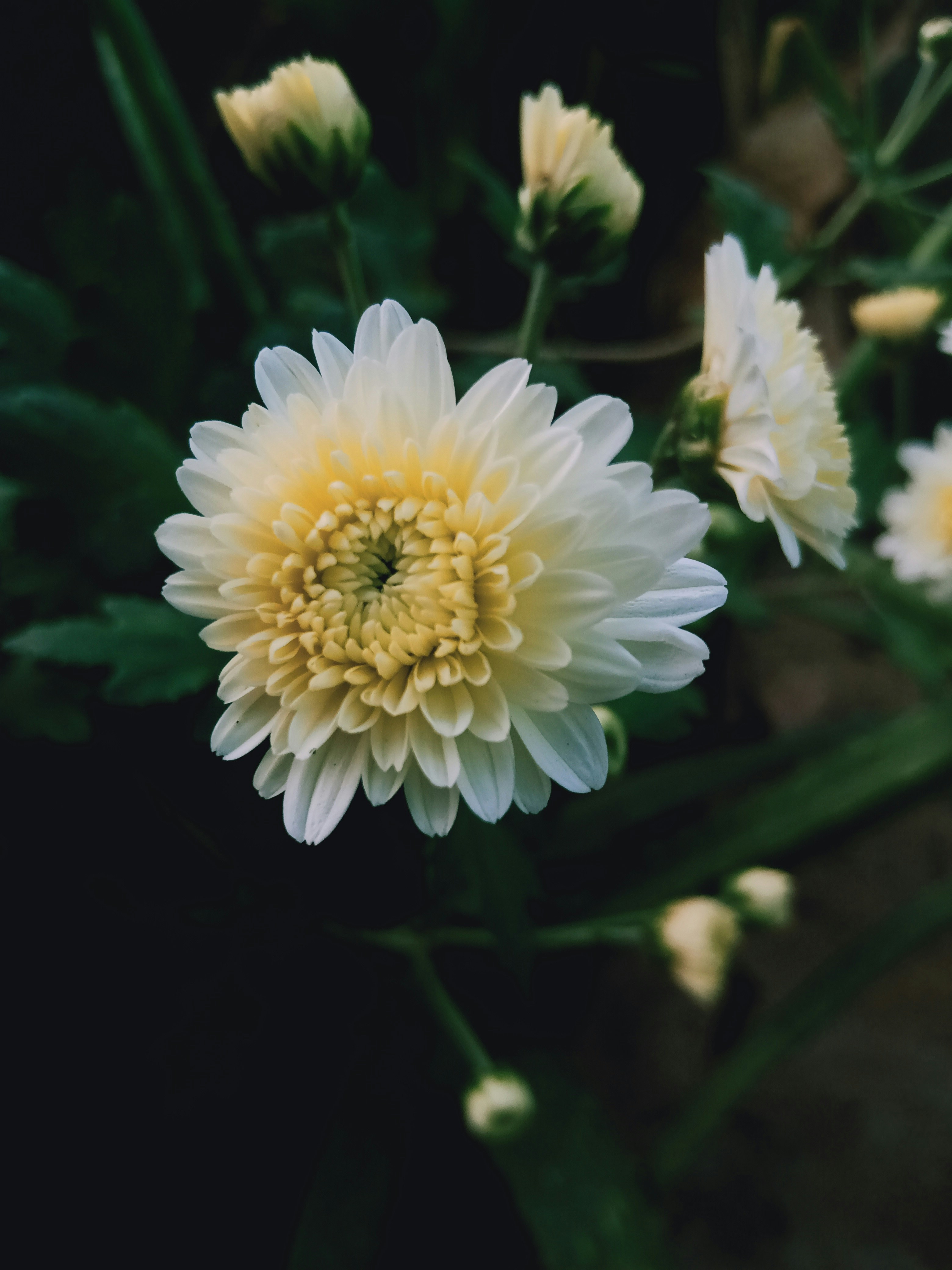 Photo by creativebuddy