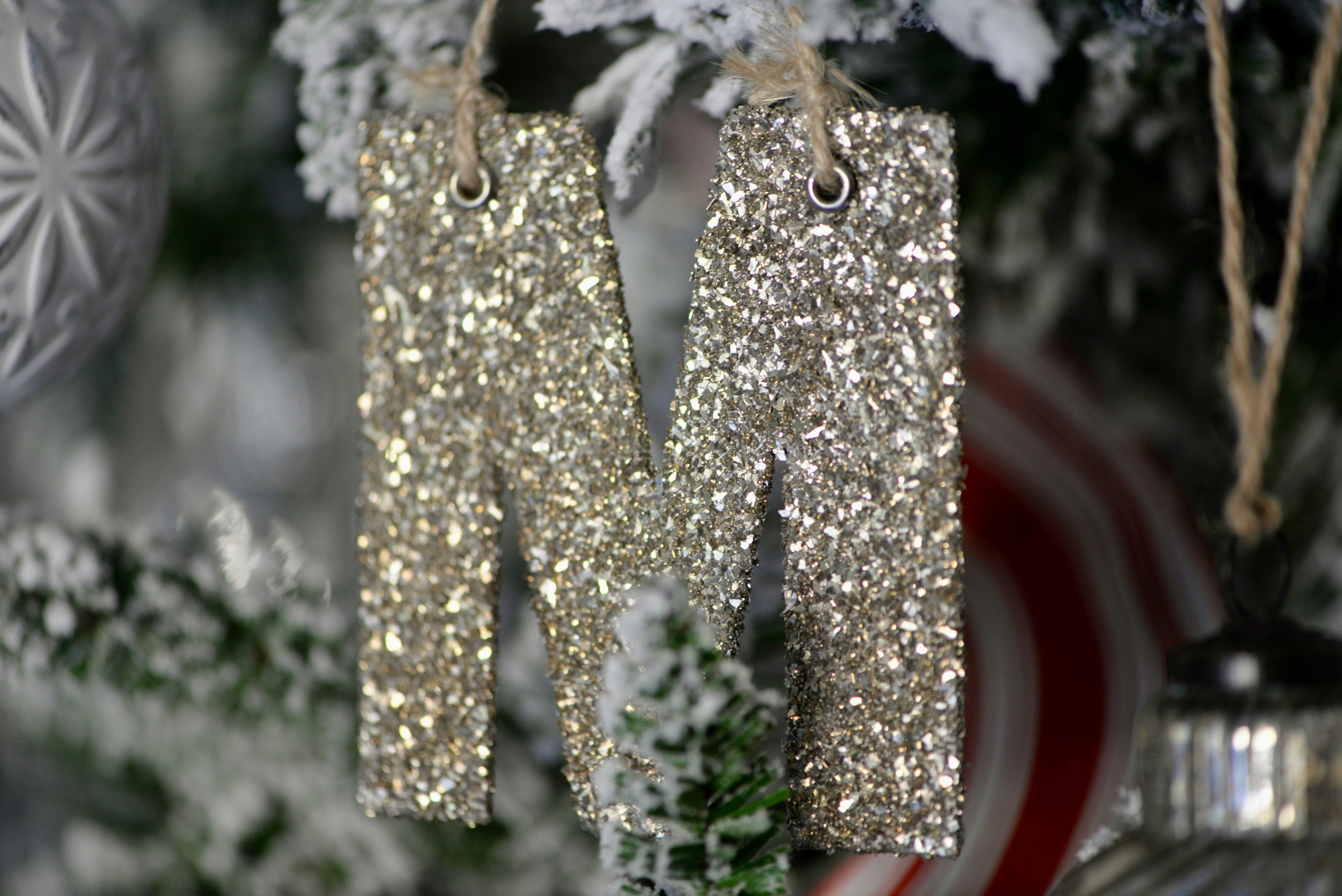 Everolimus: Helping Improve Motor and Social Skills in MS