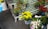 An assortment of potted plants including yellow daisies, red chili peppers, and several other green plants. The pots are placed on a metal bench with a green and white striped cloth backdrop. There are also some wrapped bouquets and small plant leaves scattered around.