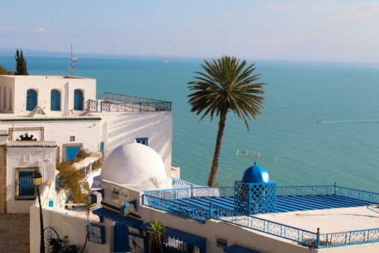 Traditional white buildings with blue accents overlook a vast turquoise sea. A palm tree stands prominently in the center, and a small boat can be seen moving across the water, leaving a faint trail. The scene is peaceful and emphasizes the blend of architecture and nature.