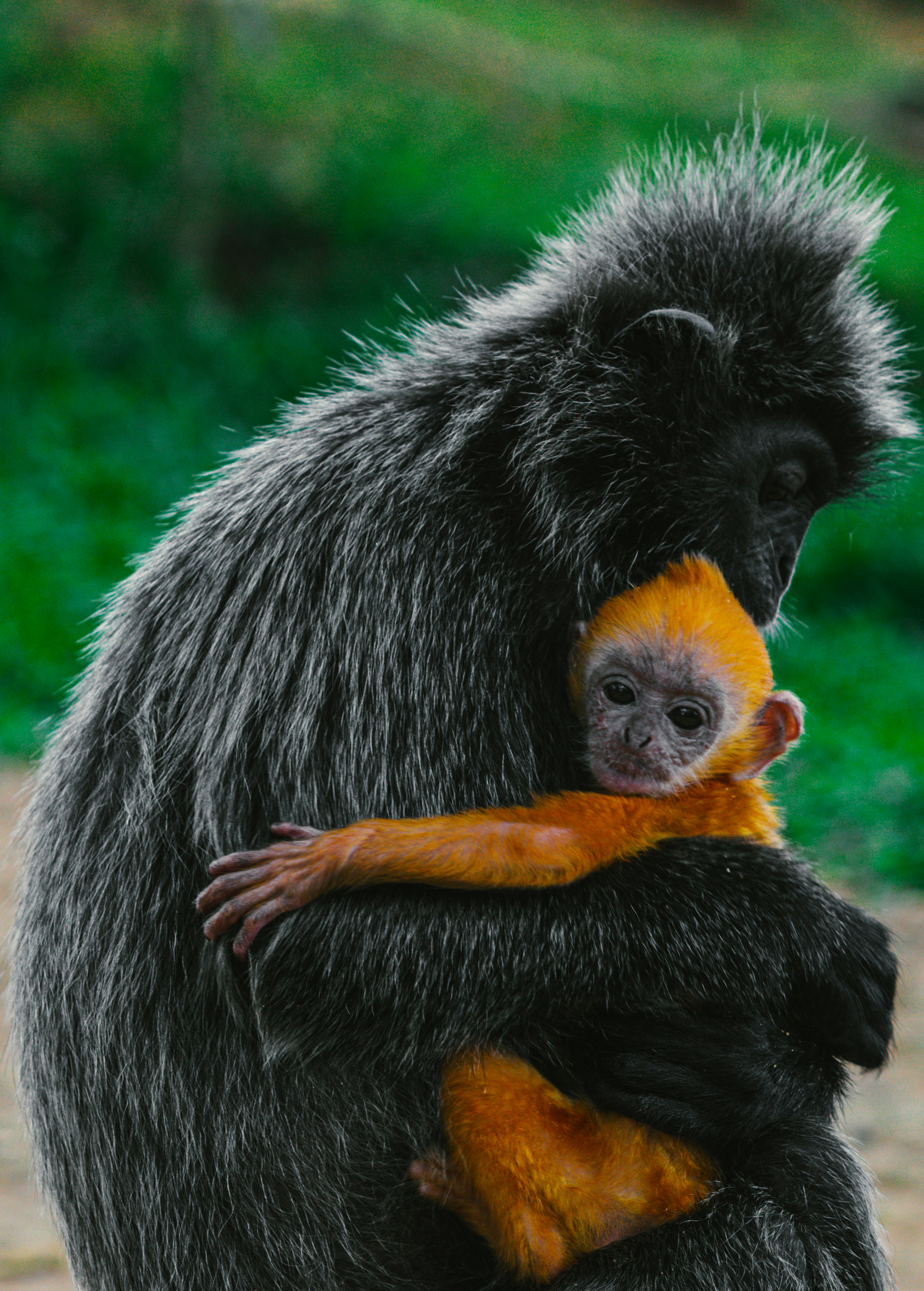 Photo by flashback_travel_guide