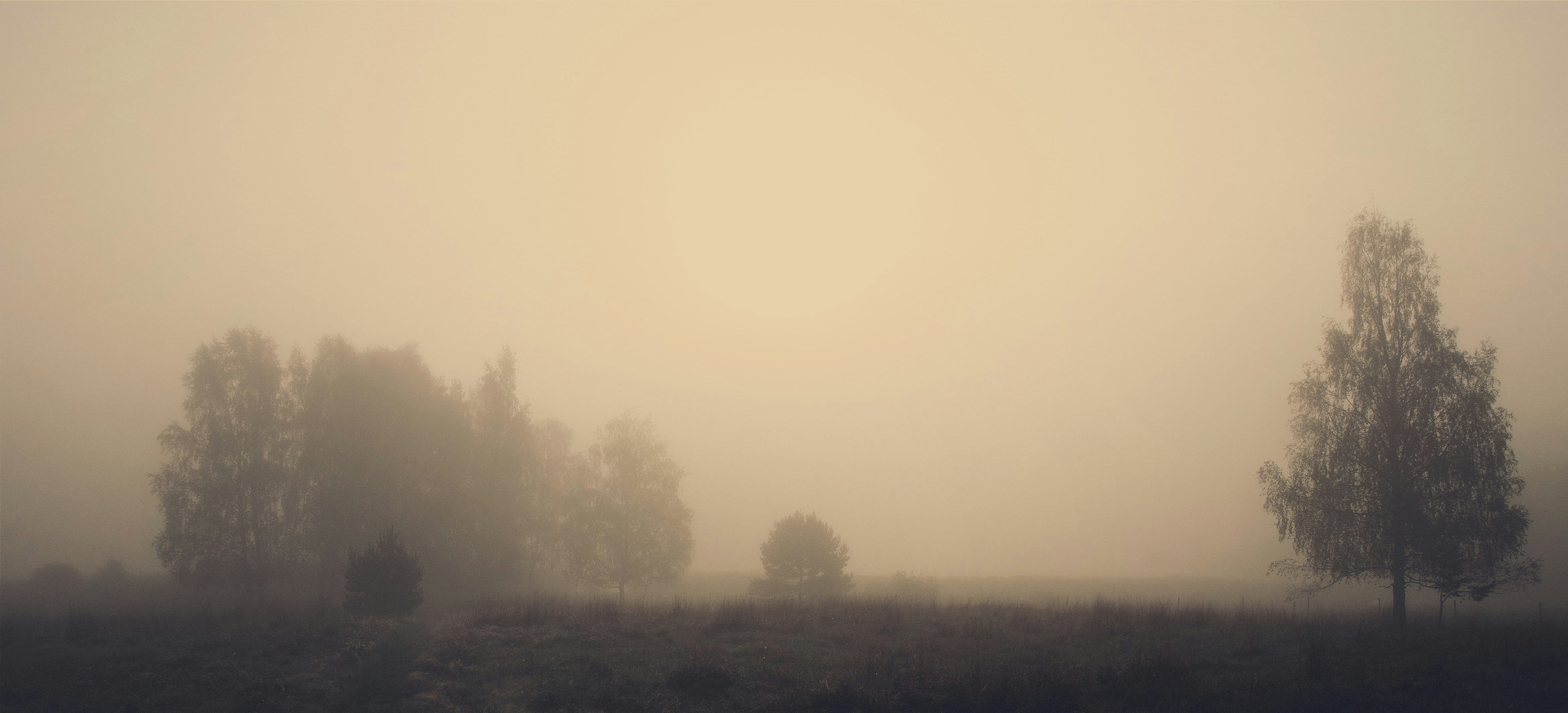 Photo by aabergkvist