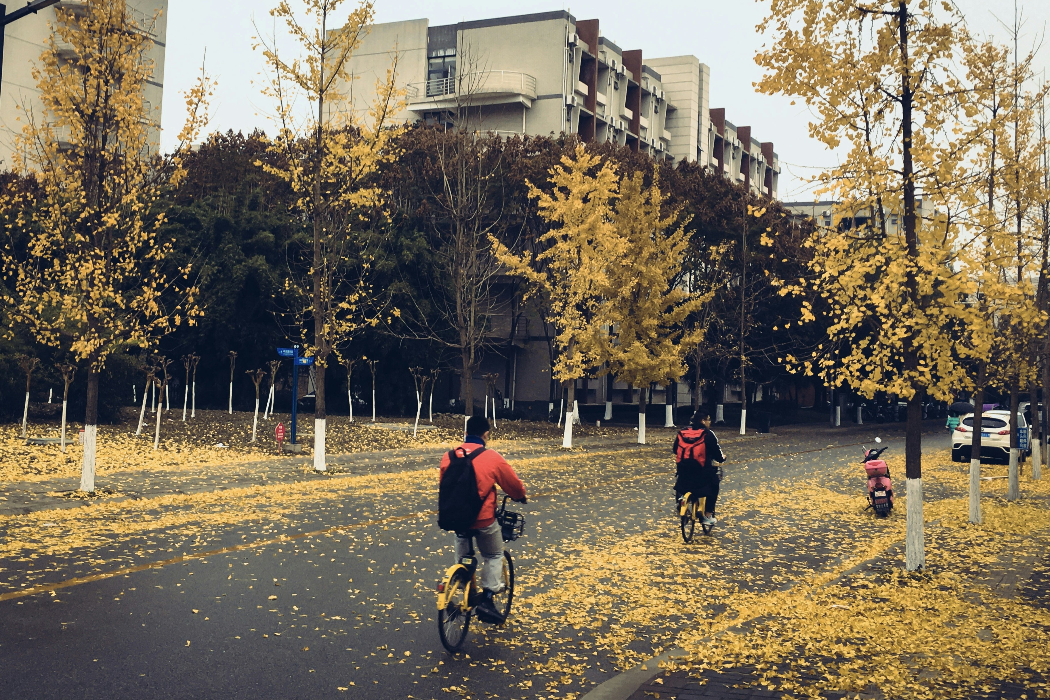 University campus