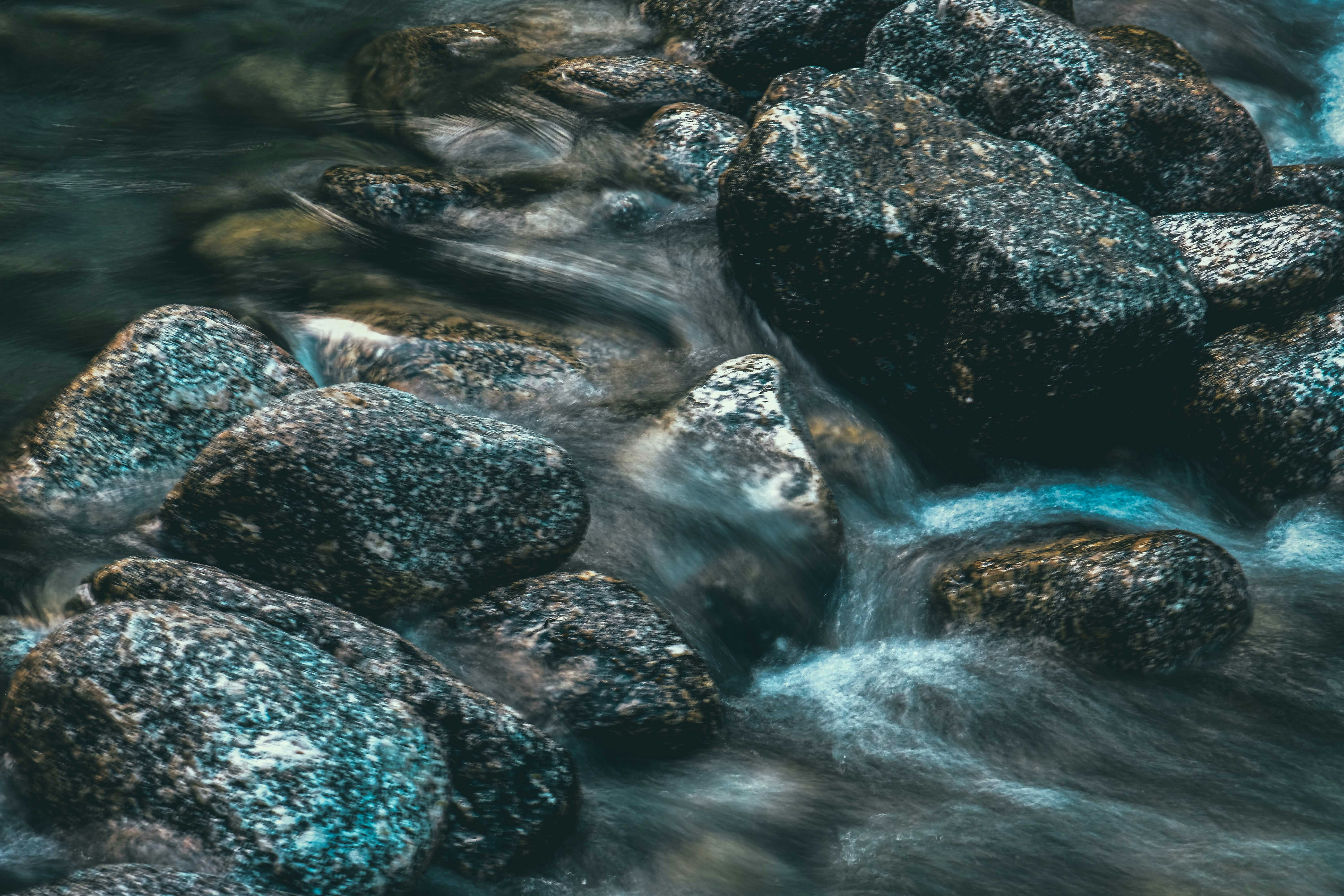 Photo by francesco_ungaro