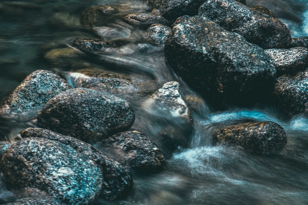 gray and black rocks on river