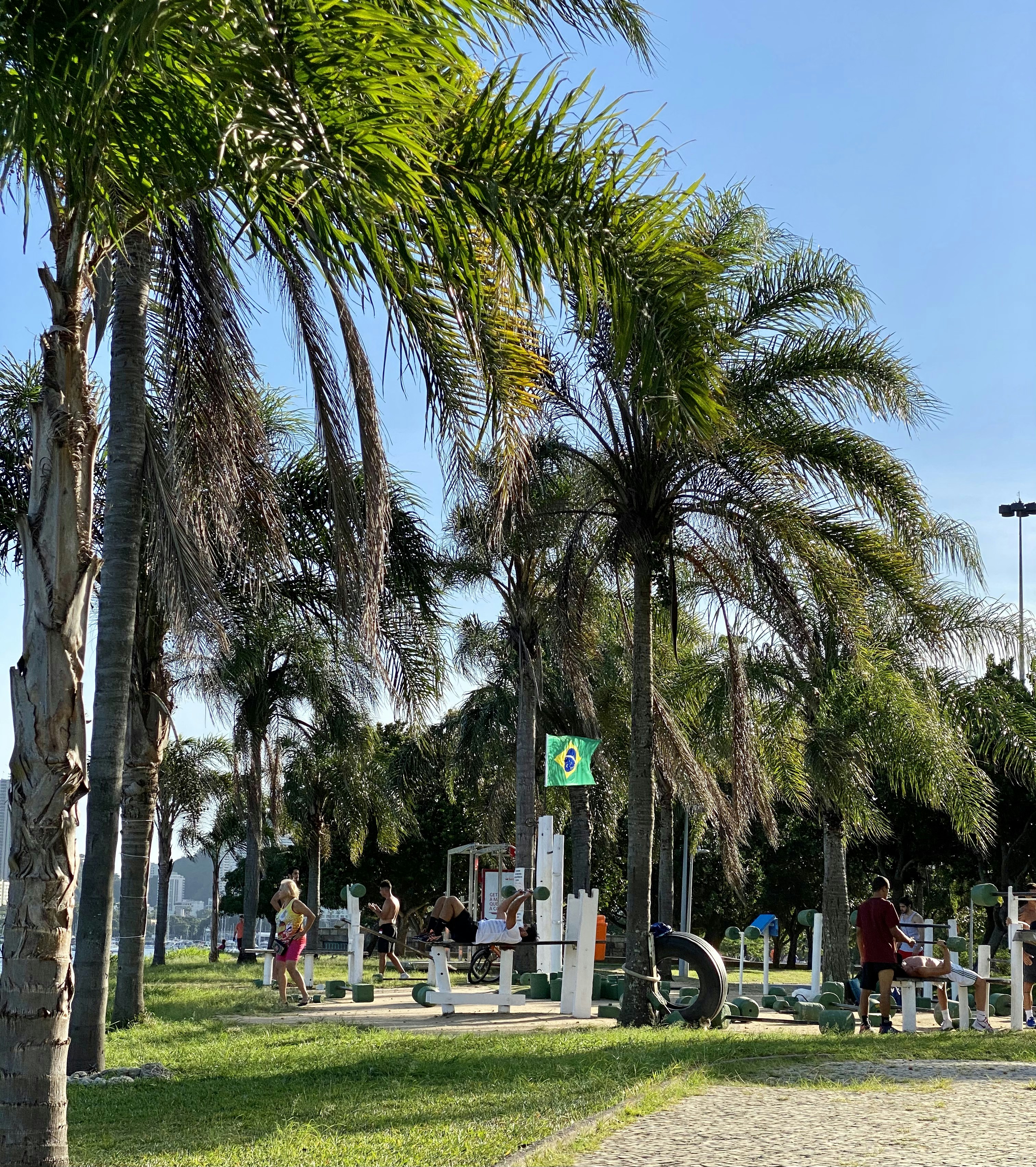 Bringing a Little Brazilian Energy Into Your Daily Routine