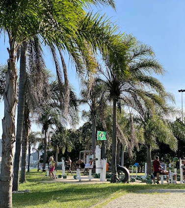 Photo of a vibrant local gym with people exercising and trainers assisting clients in São José dos Campos.