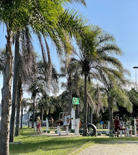 A park setting featuring palm trees and people engaging in outdoor exercise. There is a variety of exercise equipment being used by several individuals. The scene suggests a fitness area in a tropical environment, with a Brazilian flag visible among the greenery.