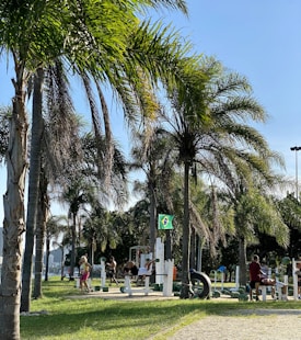 A park setting featuring palm trees and people engaging in outdoor exercise. There is a variety of exercise equipment being used by several individuals. The scene suggests a fitness area in a tropical environment, with a Brazilian flag visible among the greenery.