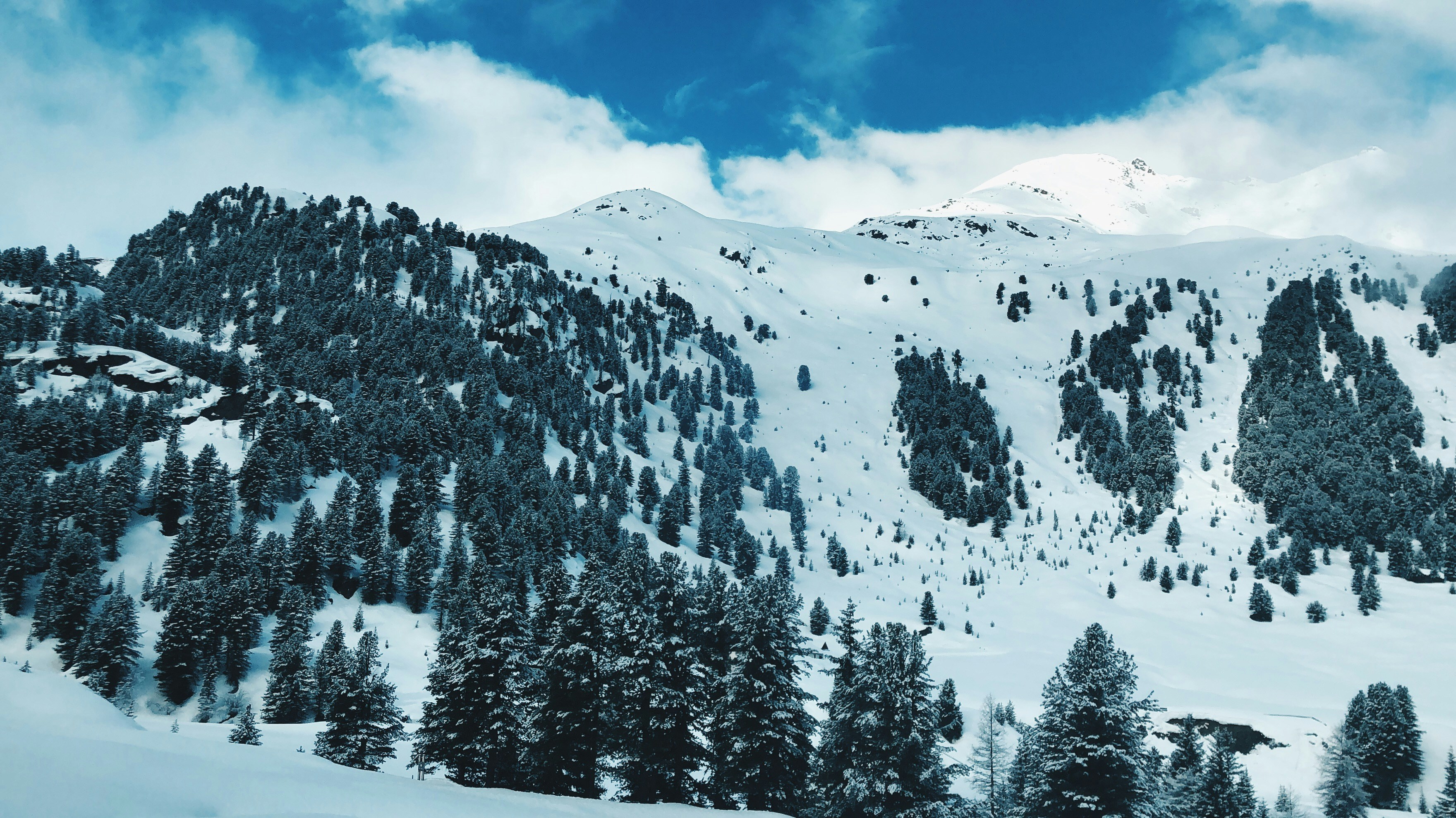 Photo by lisalaurentt