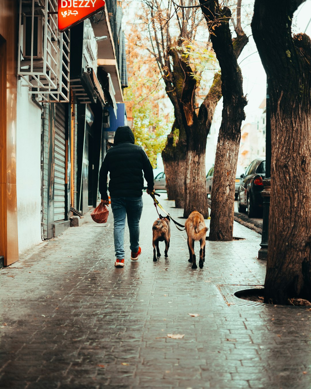 man in black jacket and brown pants walking with brown short coated dog on street during