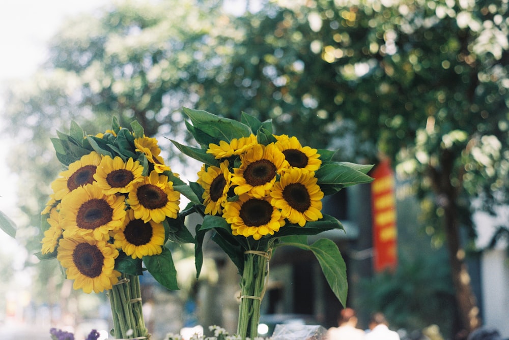 yellow sunflower in bloom during daytime