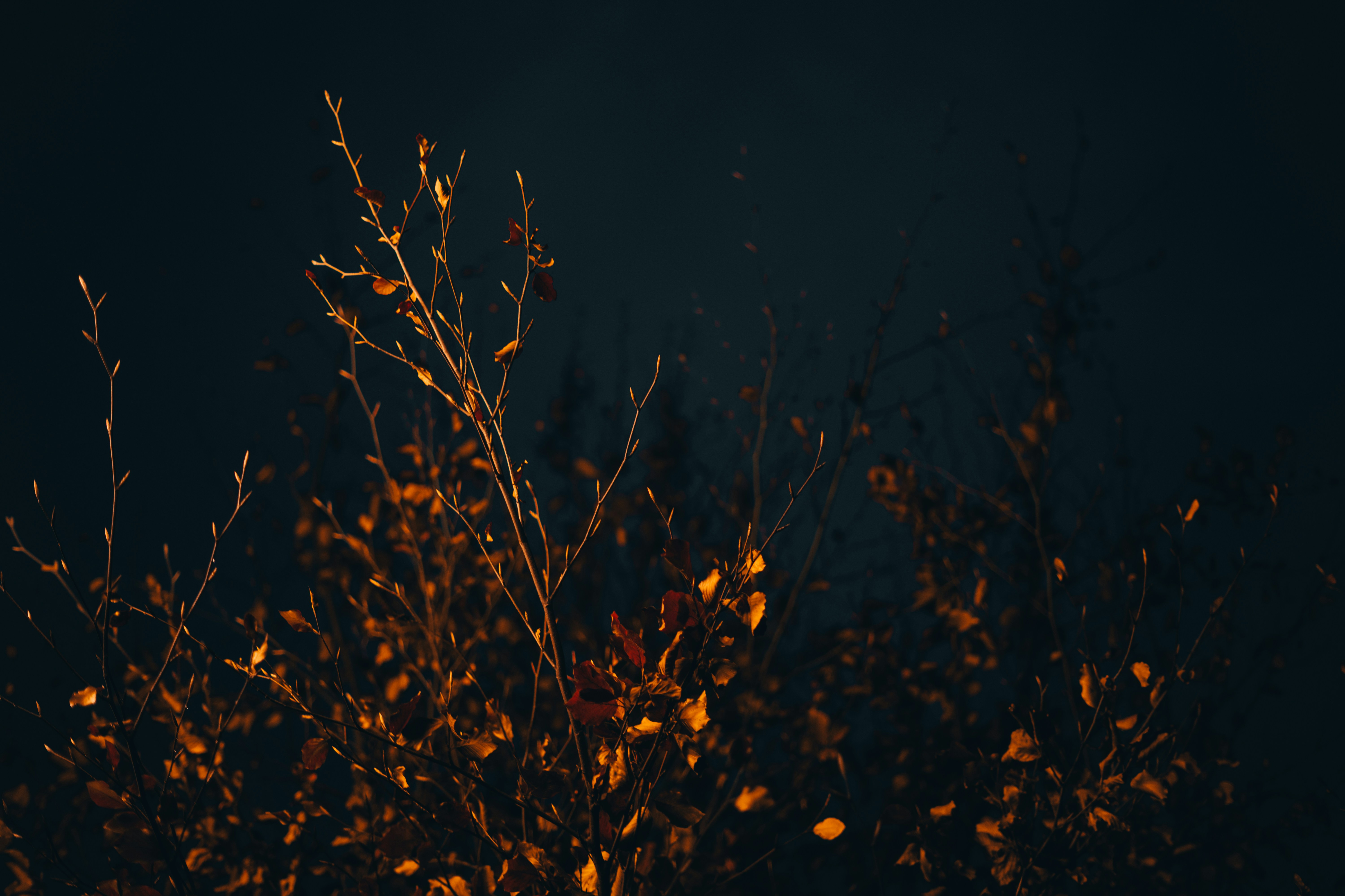 Photo by fynngeerdsen