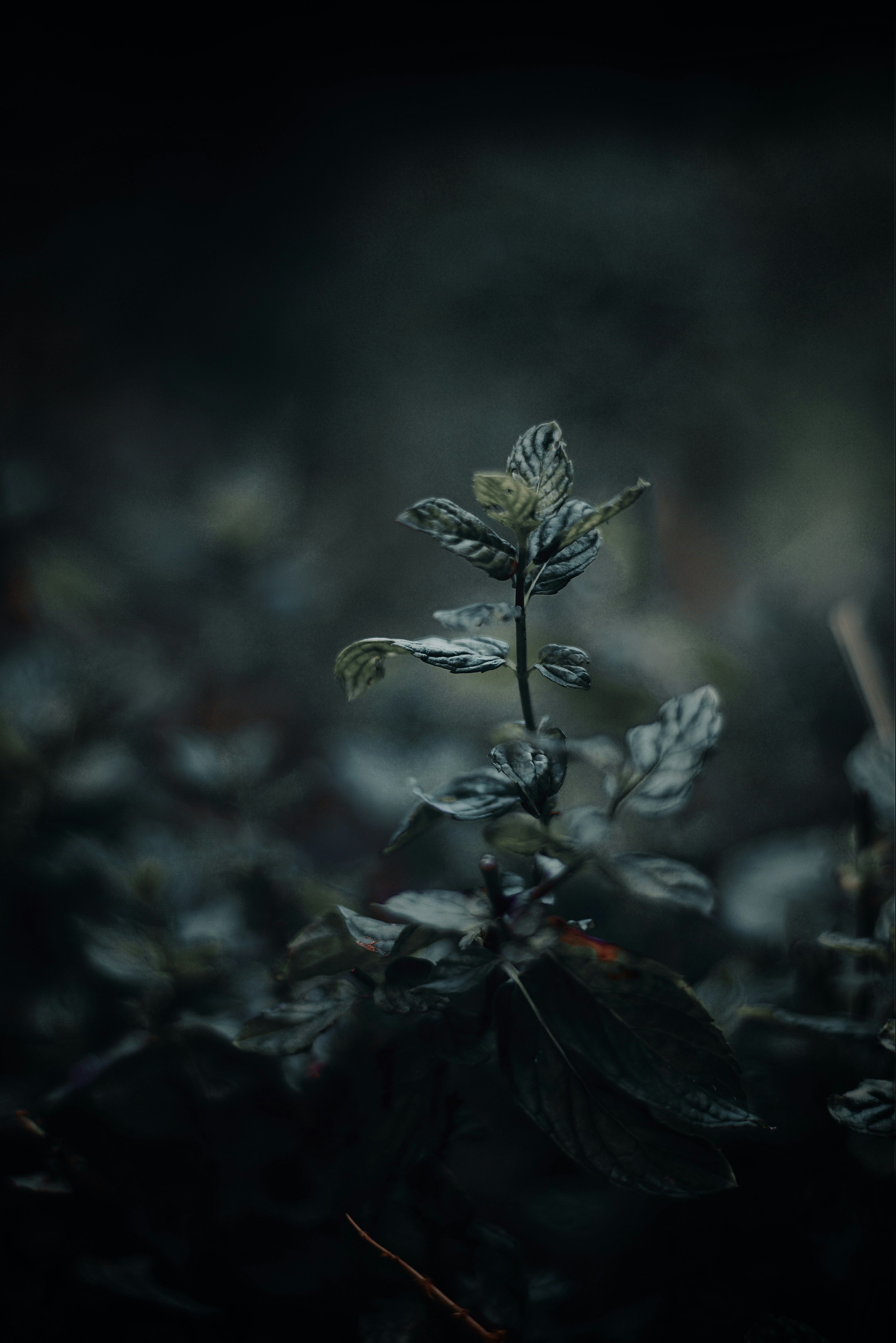Photo by abdxvisuals