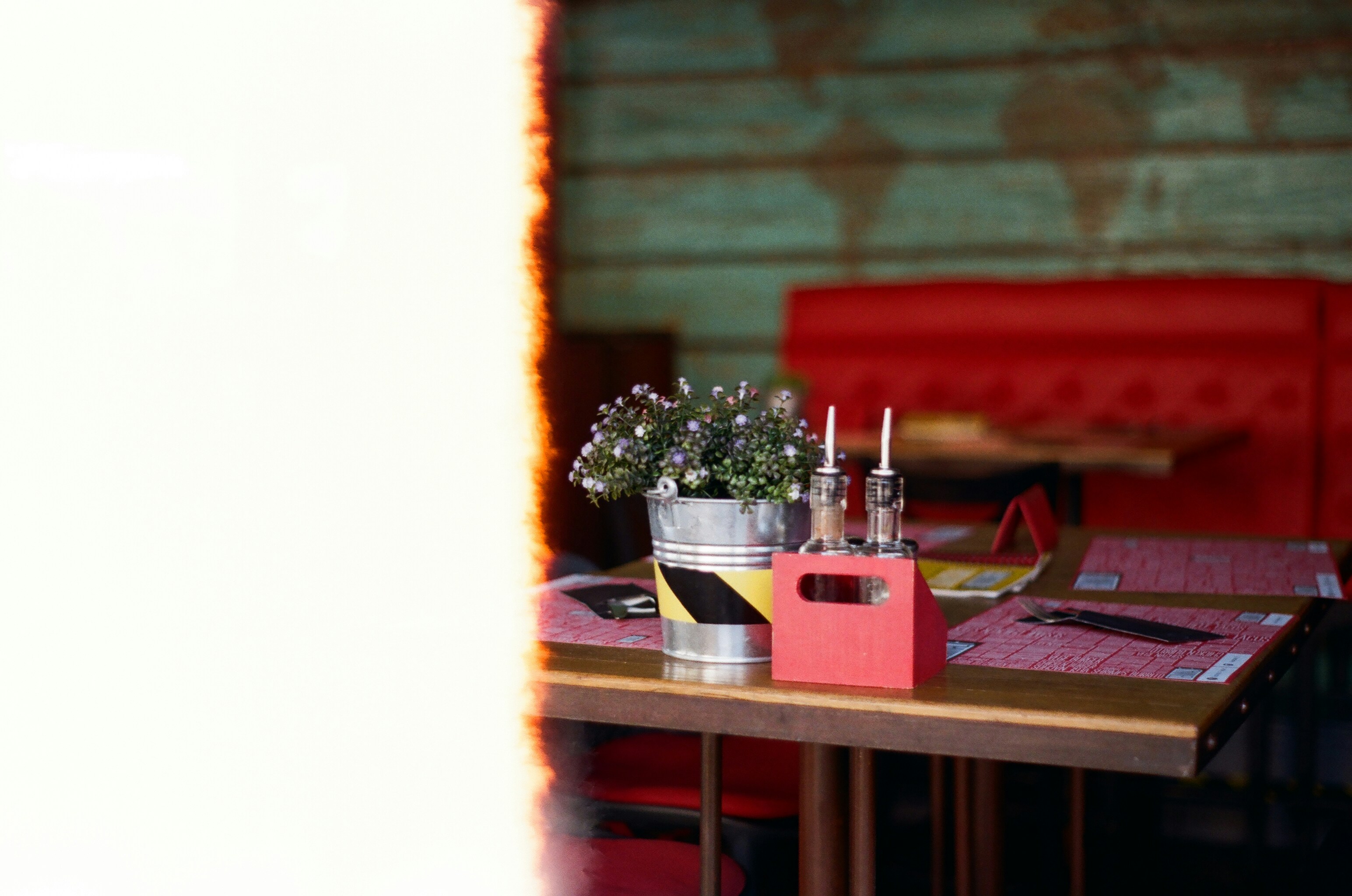 Green potted plant on brown wooden table