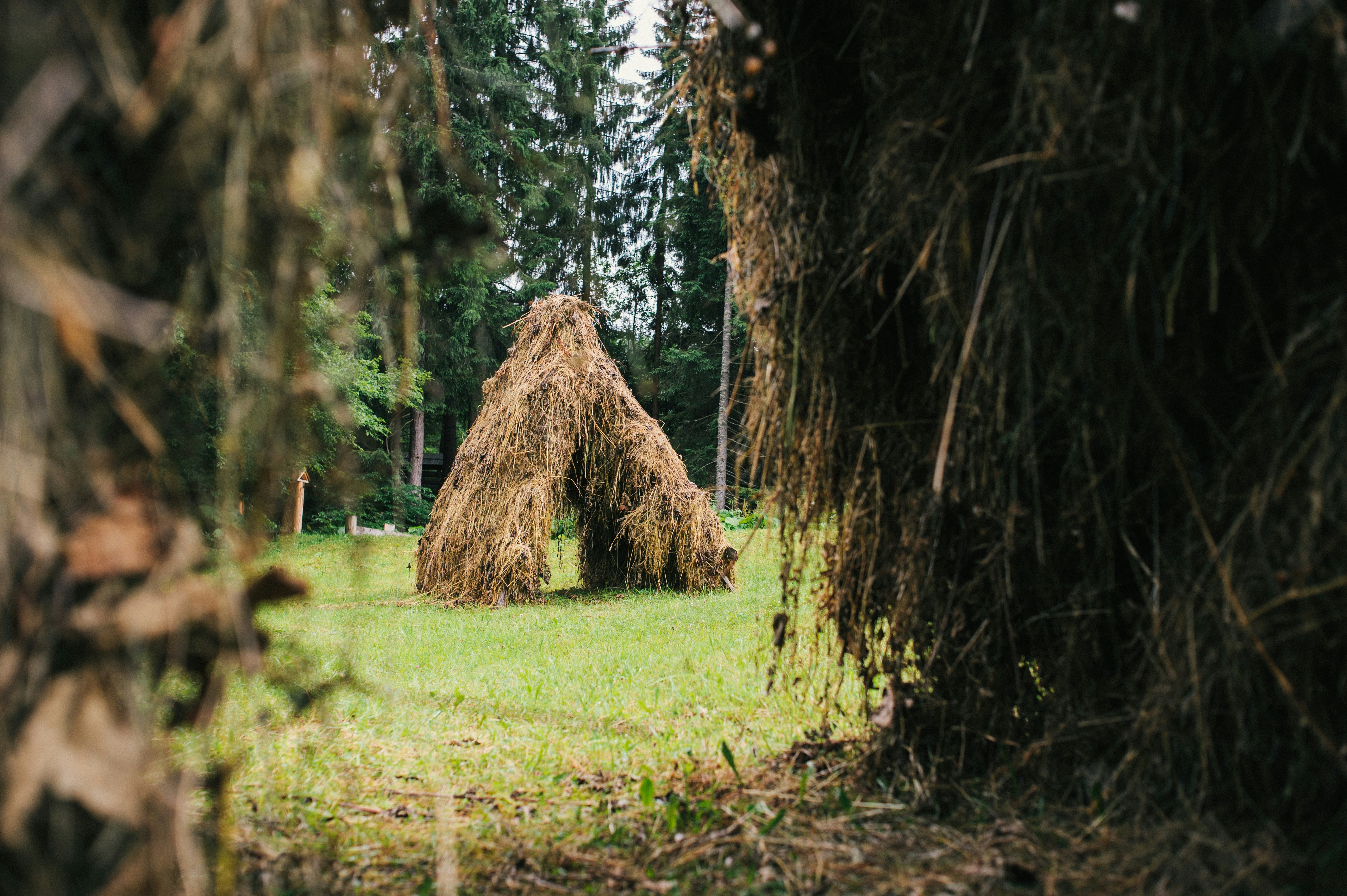 Photo by elimendeinagella