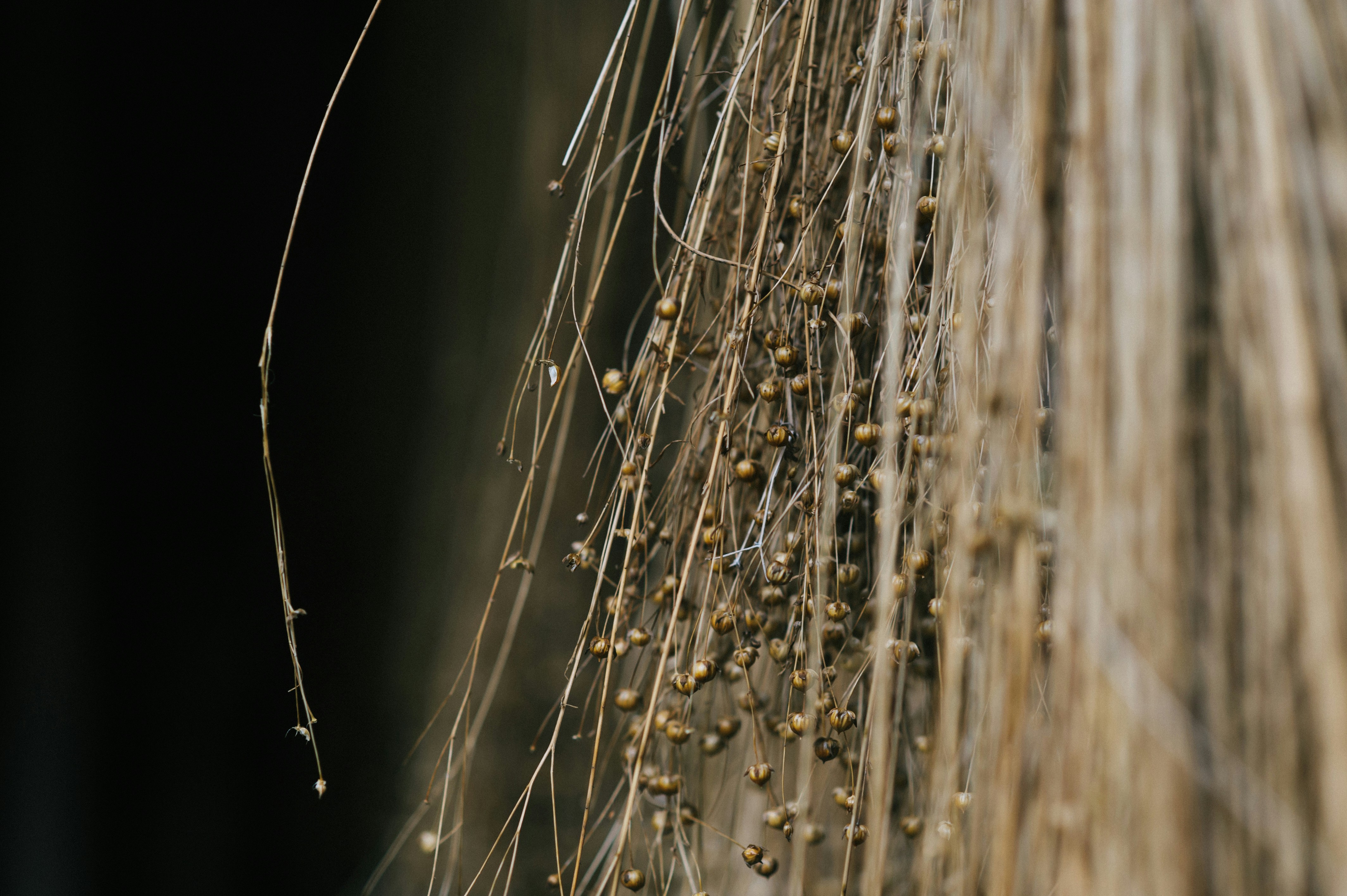 Photo by elimendeinagella