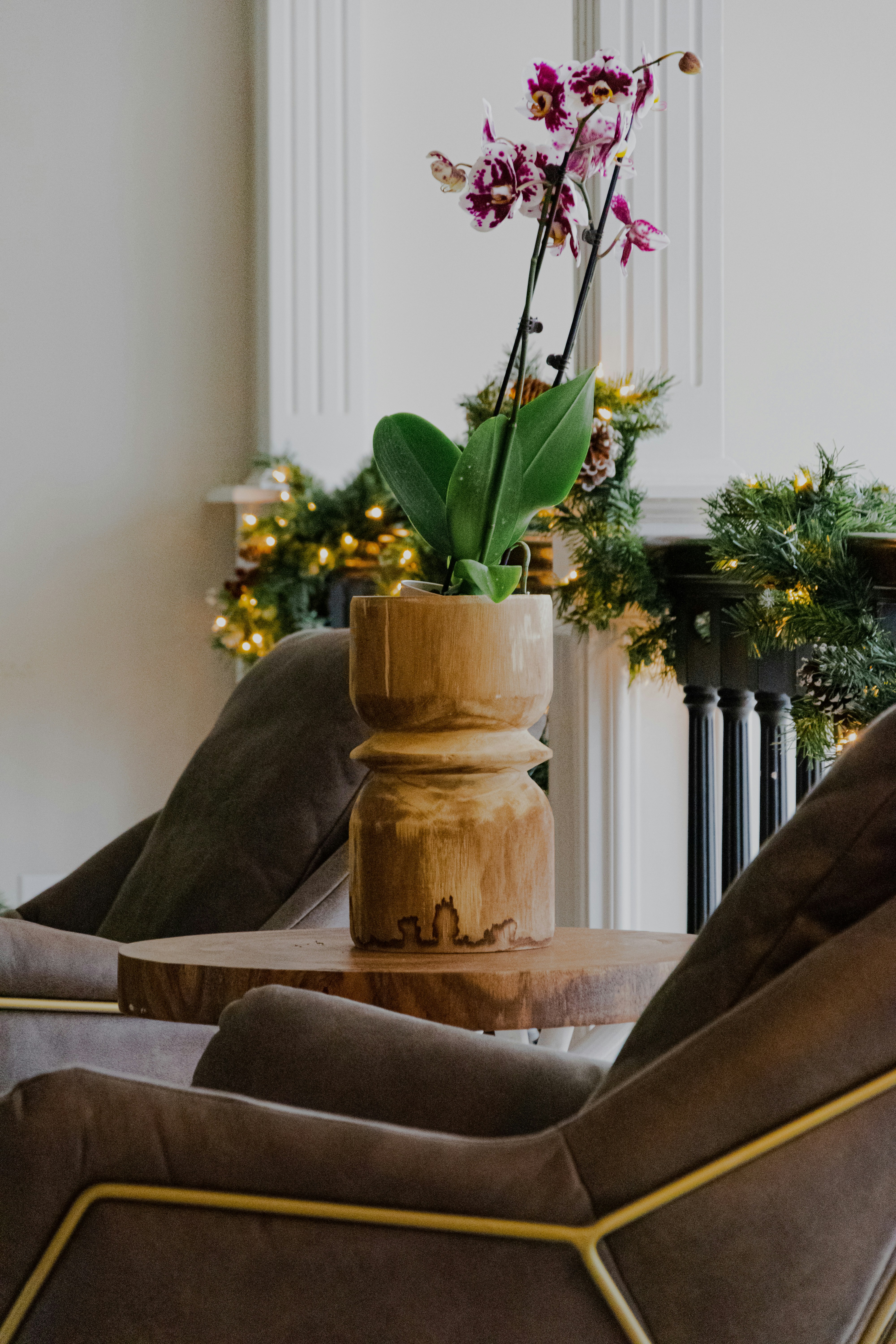 Photo by framesforyourheart