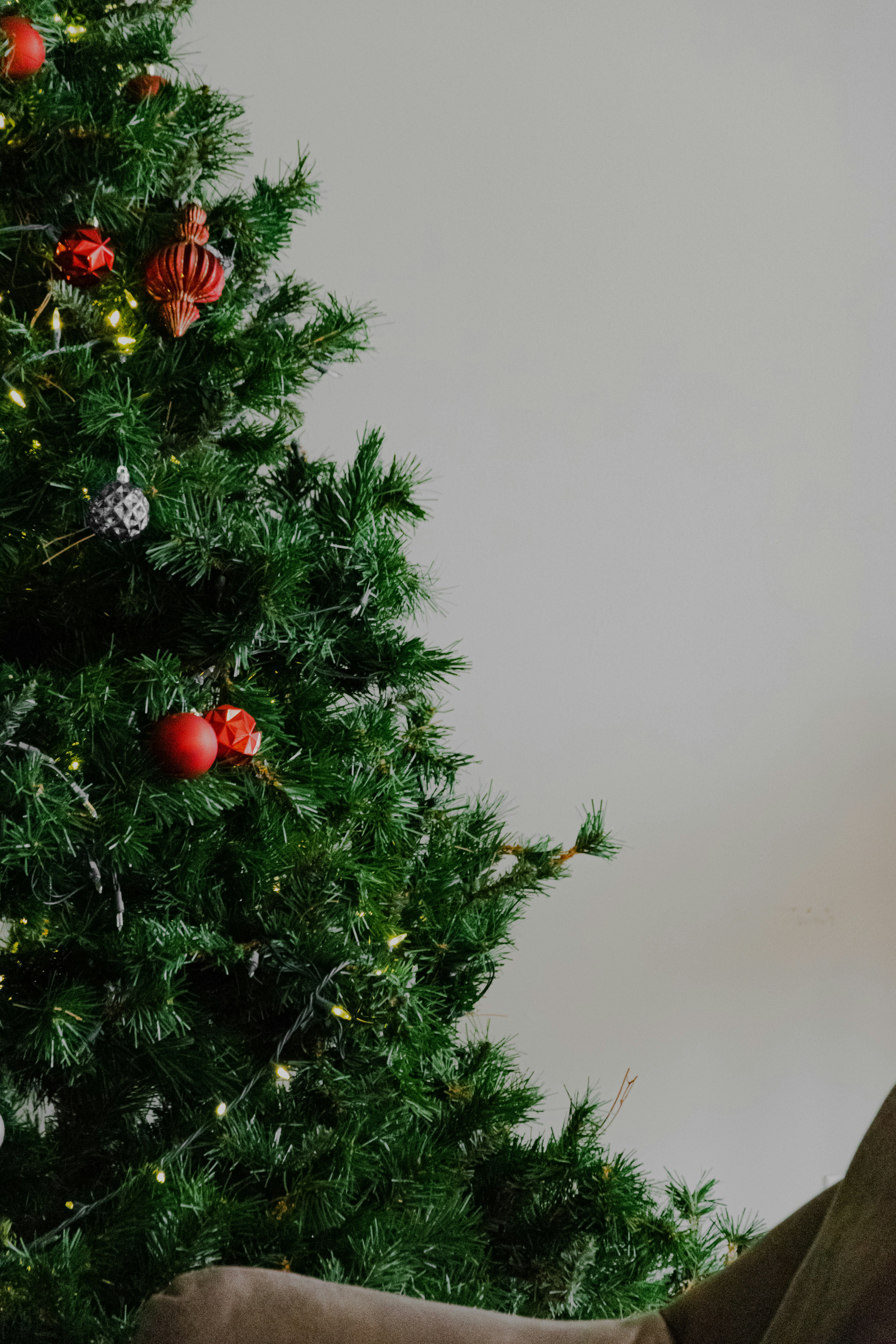 Photo by framesforyourheart