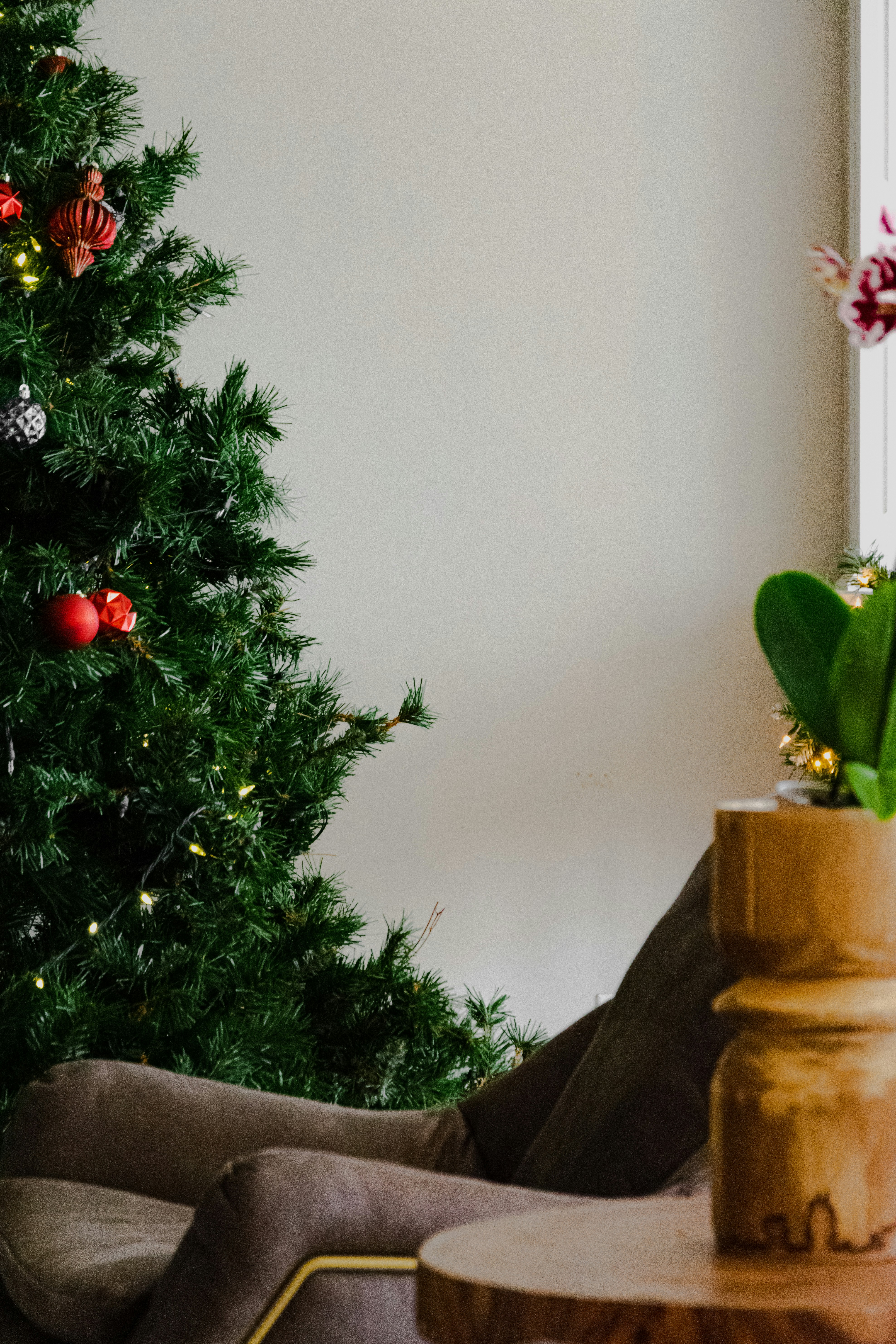 Photo by framesforyourheart