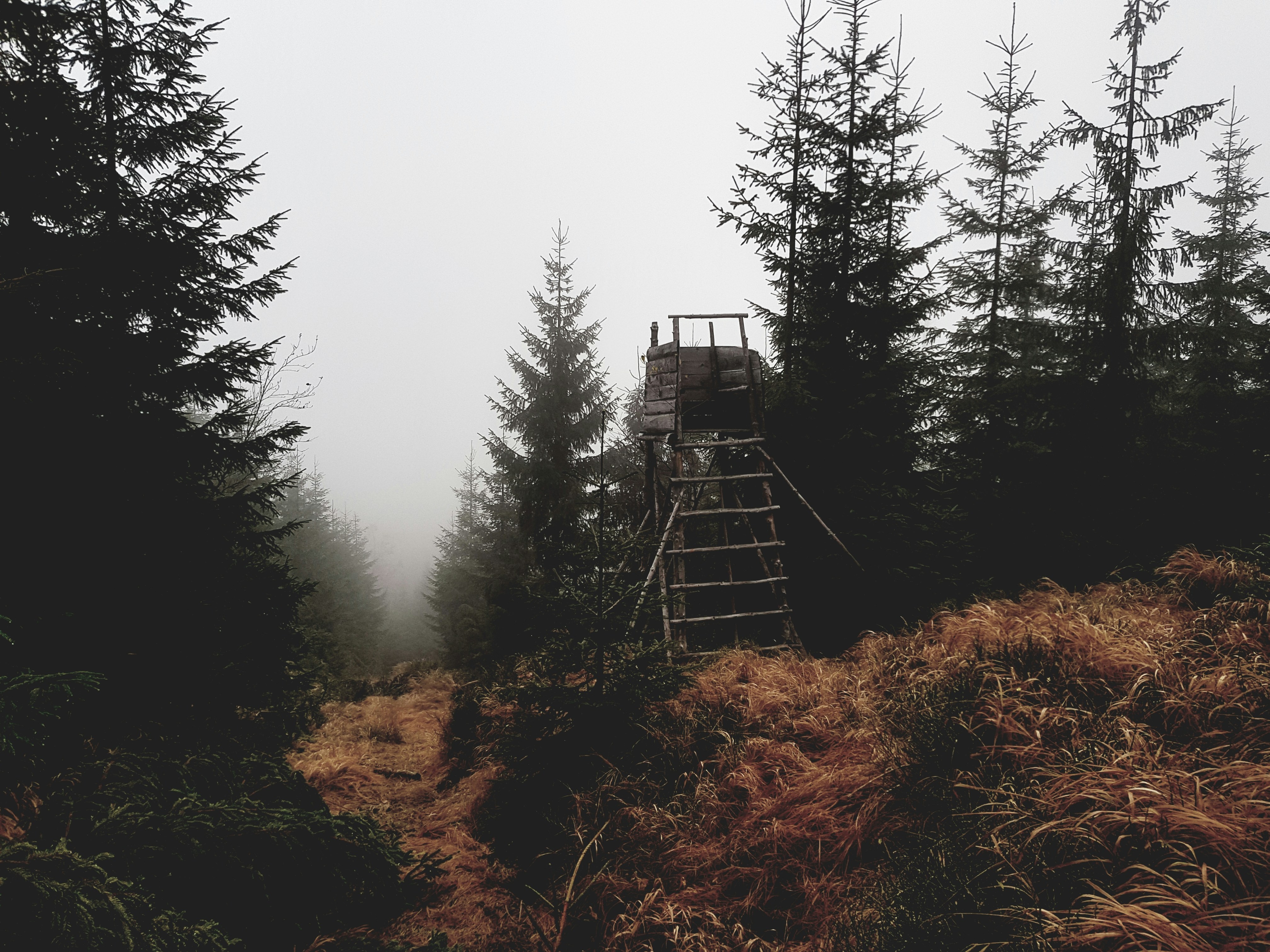 Trivia nights in Bielsko-Biała, Poland