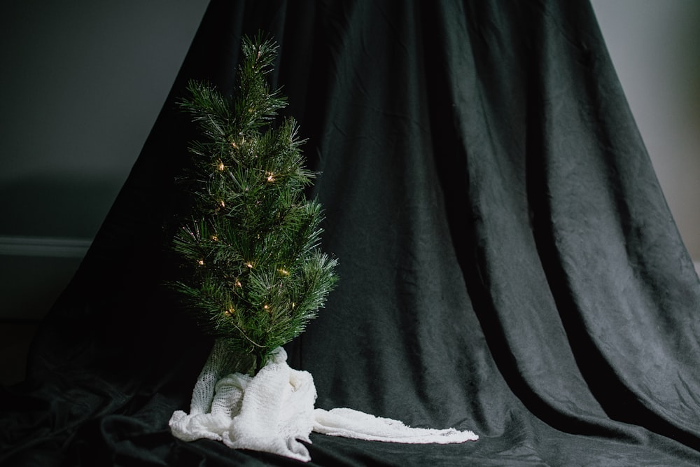 緑のクリスマスツリーと白い天使の飾り