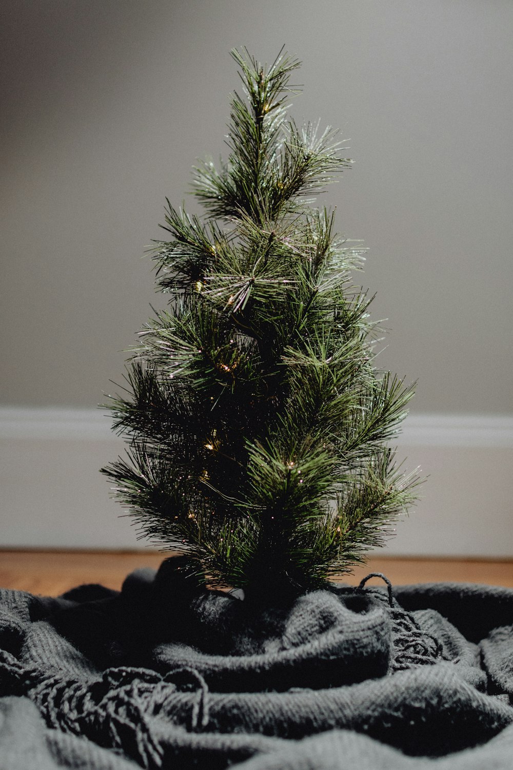 green pine tree on black and white textile