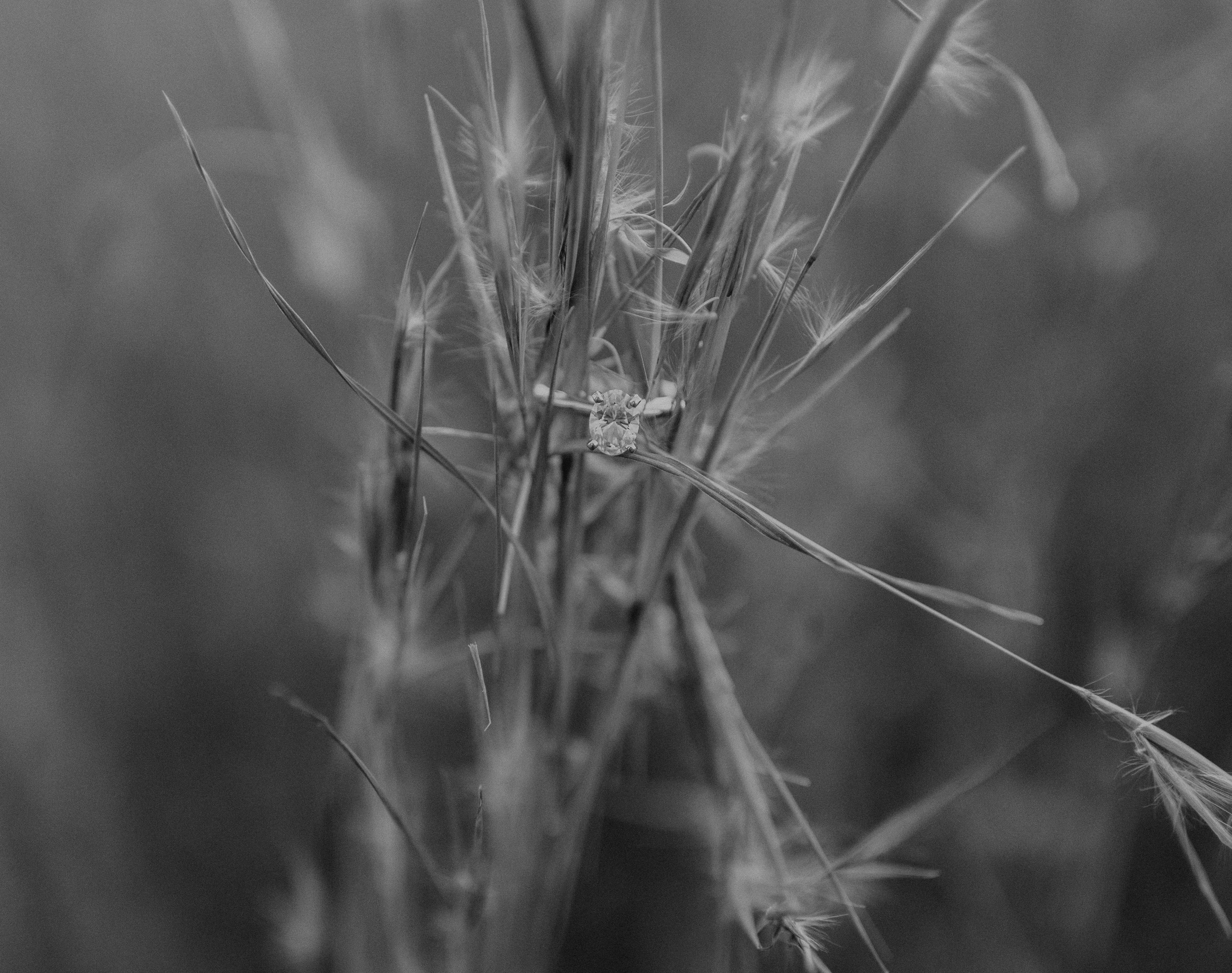 Photo by lightrisephoto