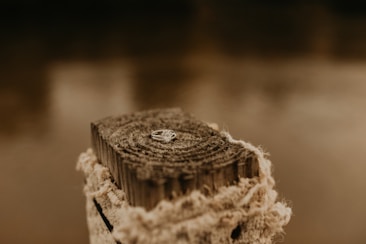 A silver ring with a gemstone is placed on top of a rustic wooden post, which is adorned with frayed rope. The background is softly blurred, giving an abstract and natural feel.