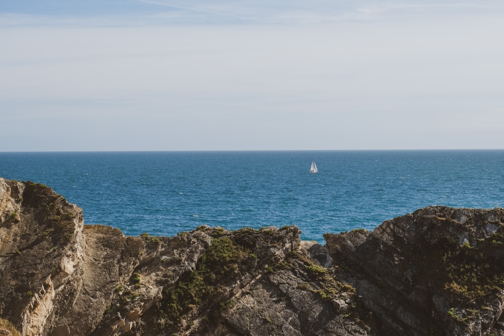 bird flying over the sea during daytime