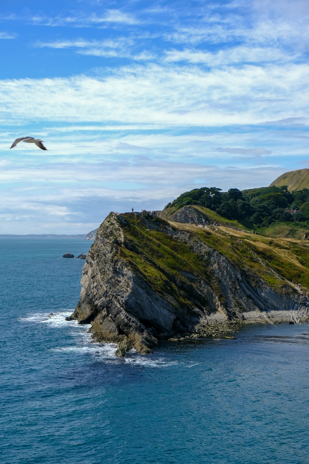 bird flying over the green and brown mountain during daytime