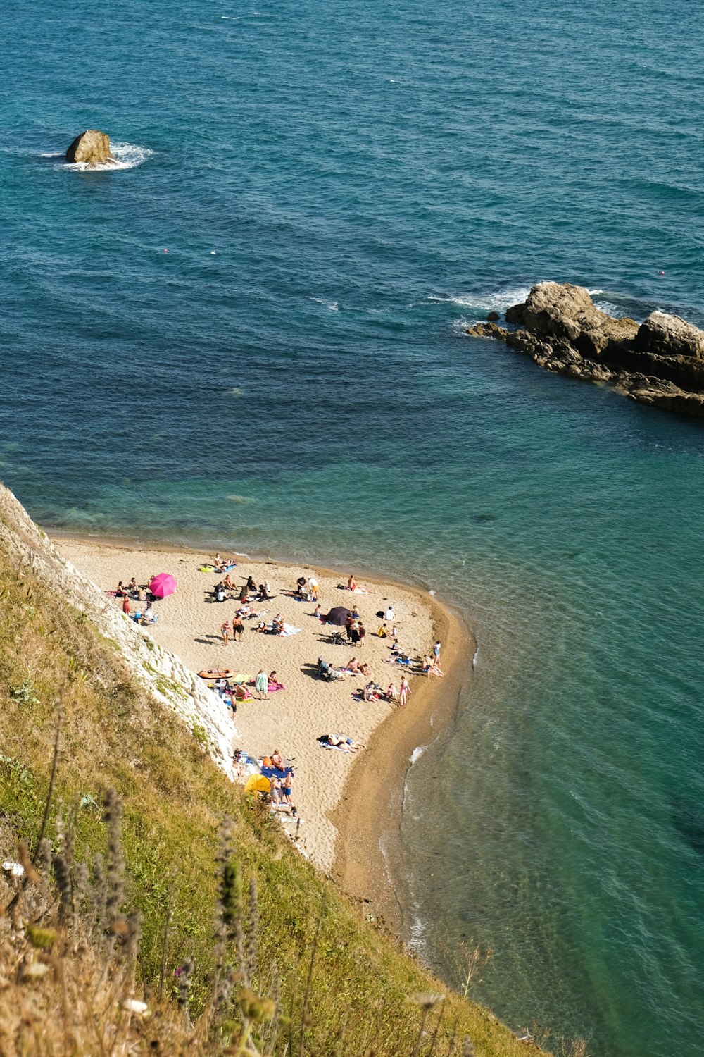 people on beach during daytime