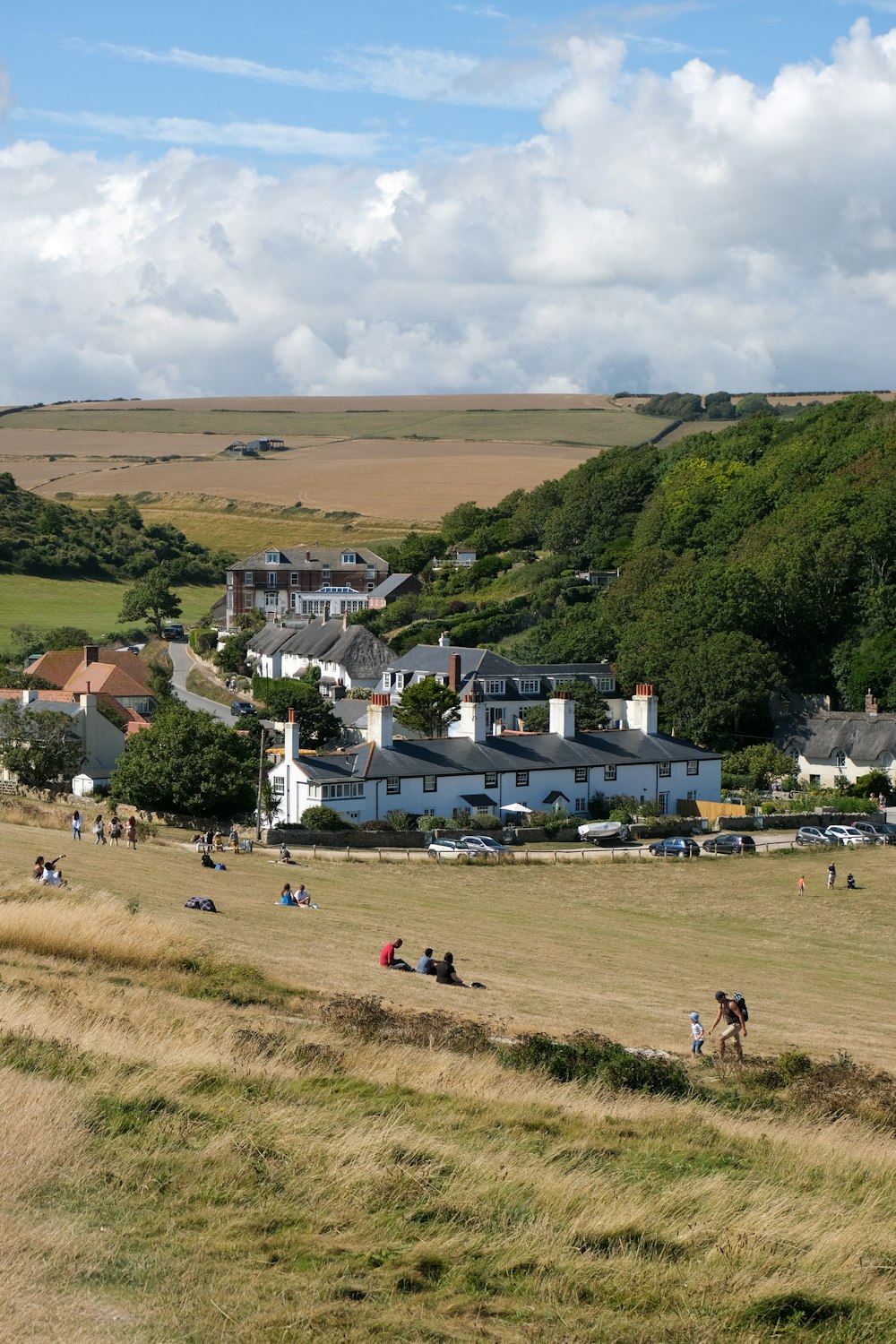 people on green grass field during daytime