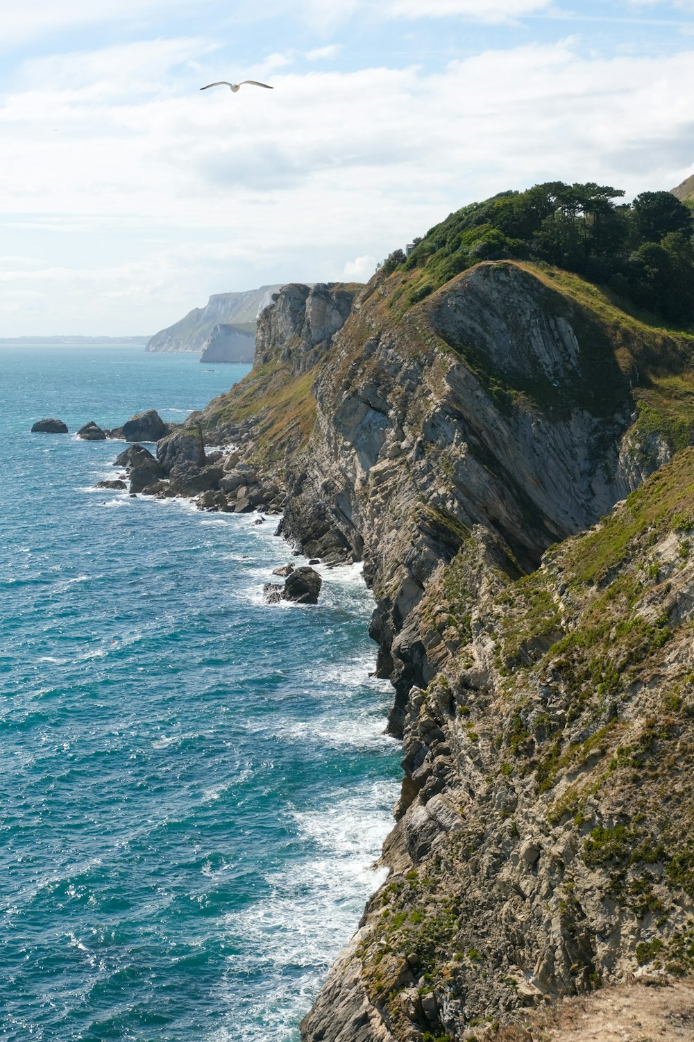 green and brown mountain beside sea during daytime