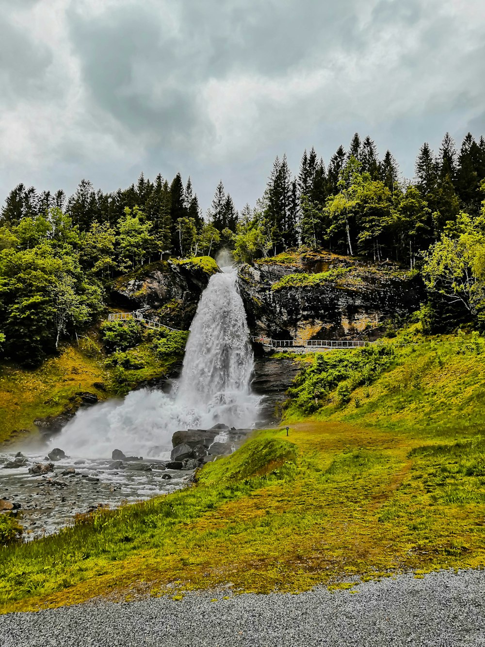 Cascate sul campo di erba verde durante il giorno