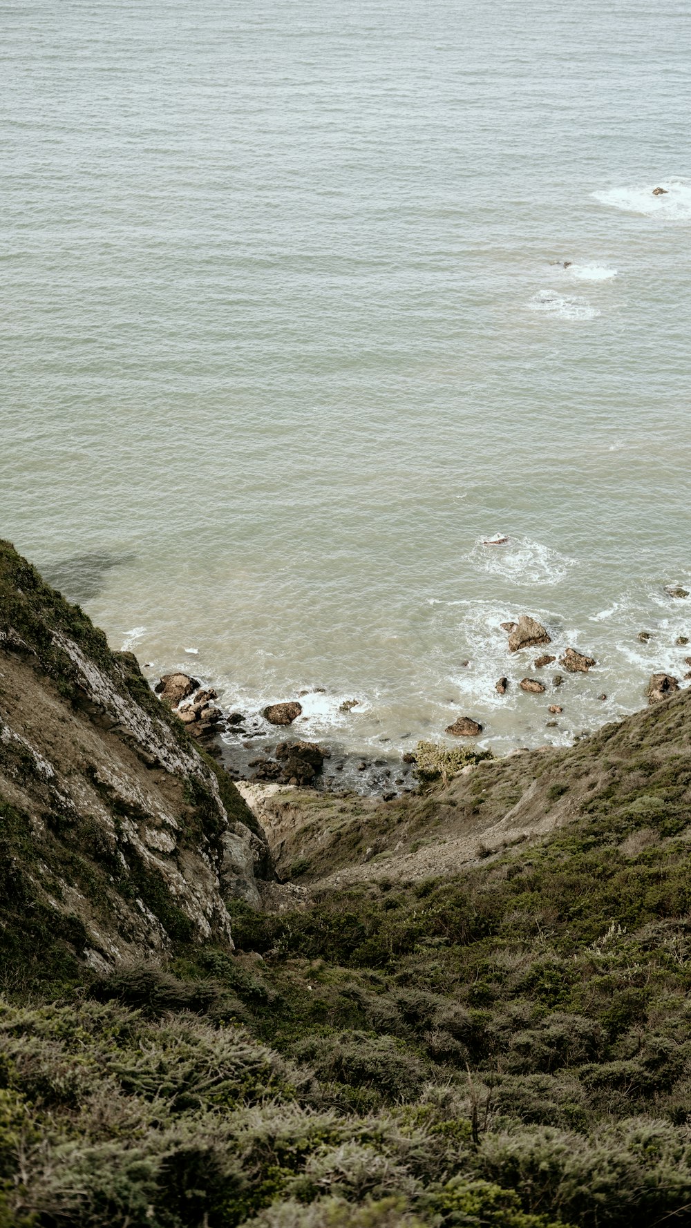 people on beach during daytime