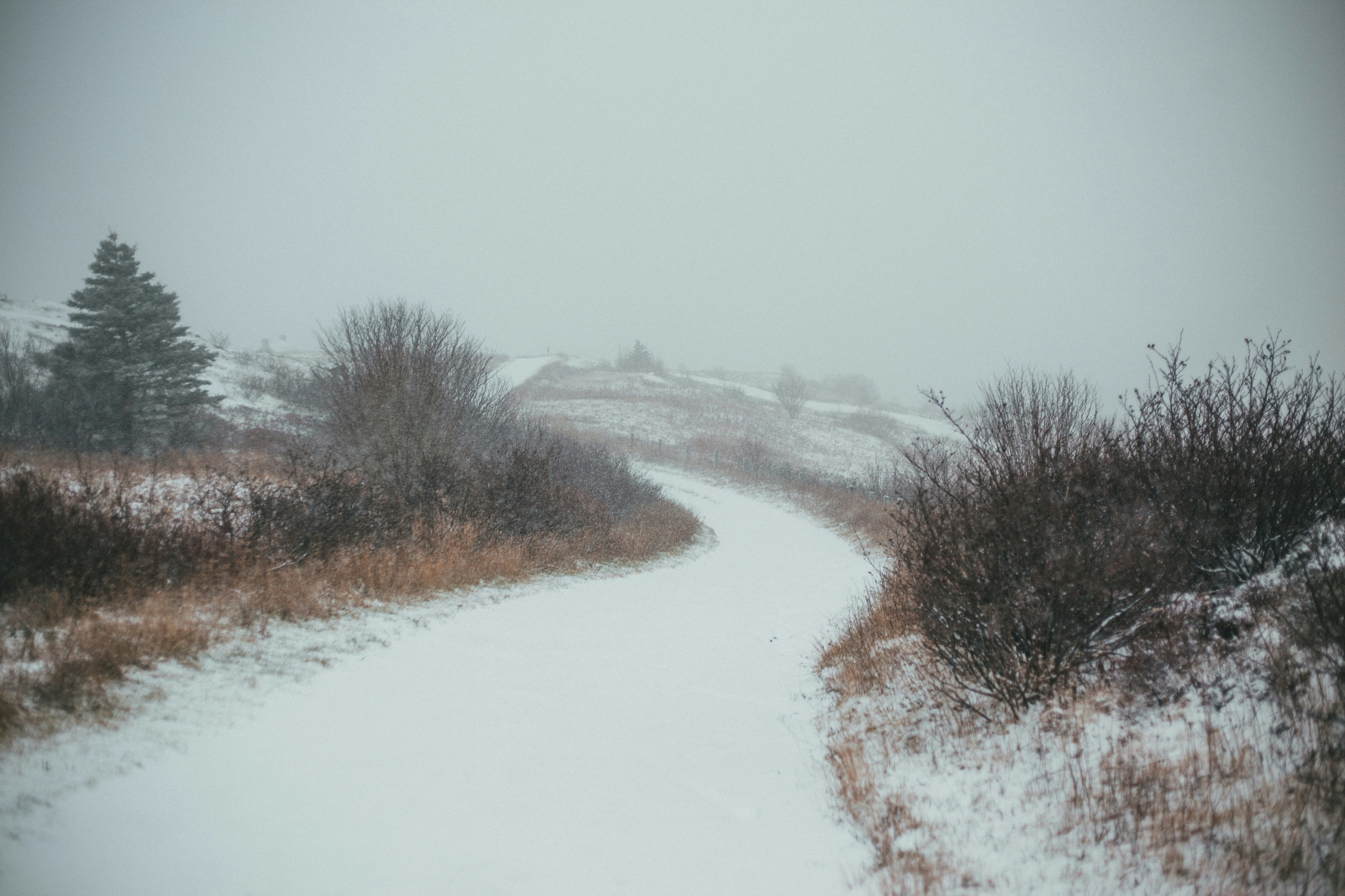 Photo by introspectivedsgn