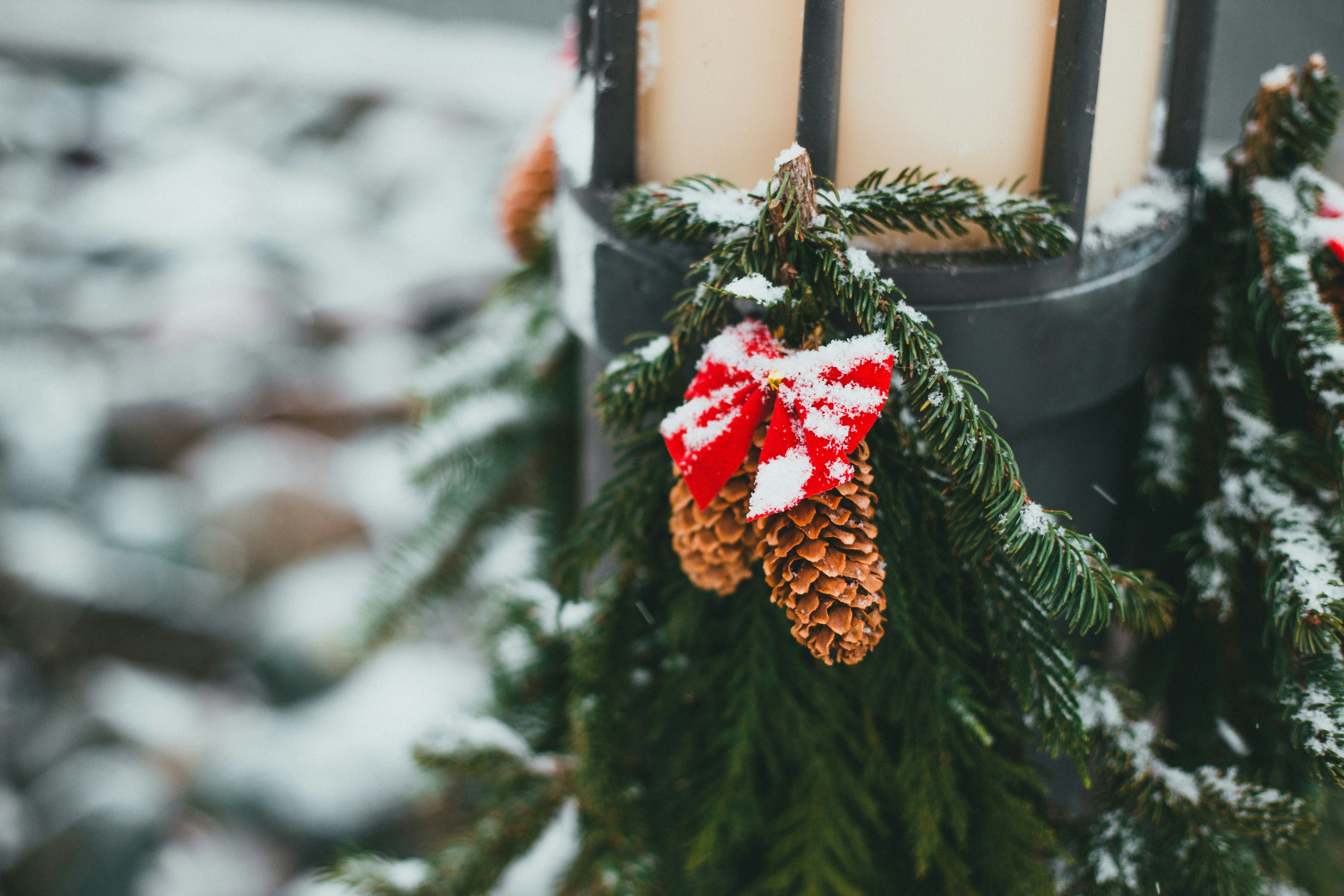 Photo by introspectivedsgn